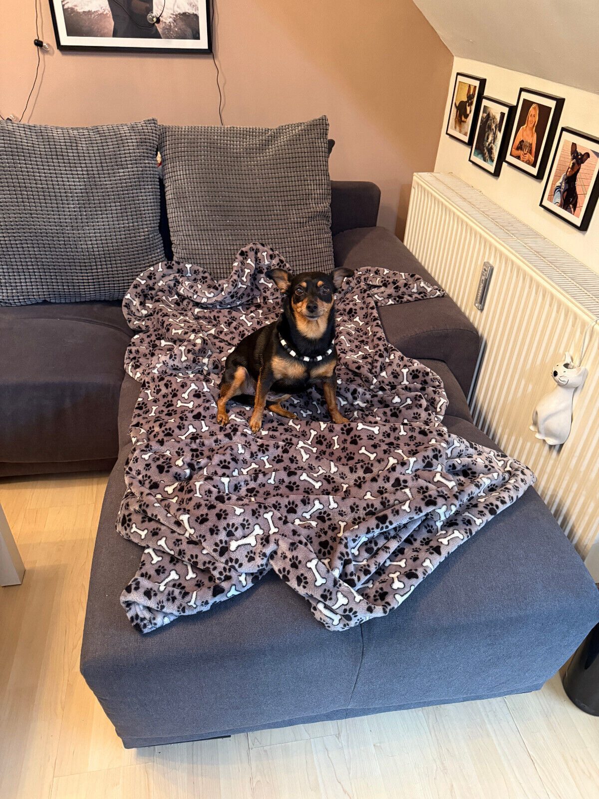 Mate for dogs Tierdecke Struppi Kuscheldecke Haustierdecke Hundedecke Katzendecke