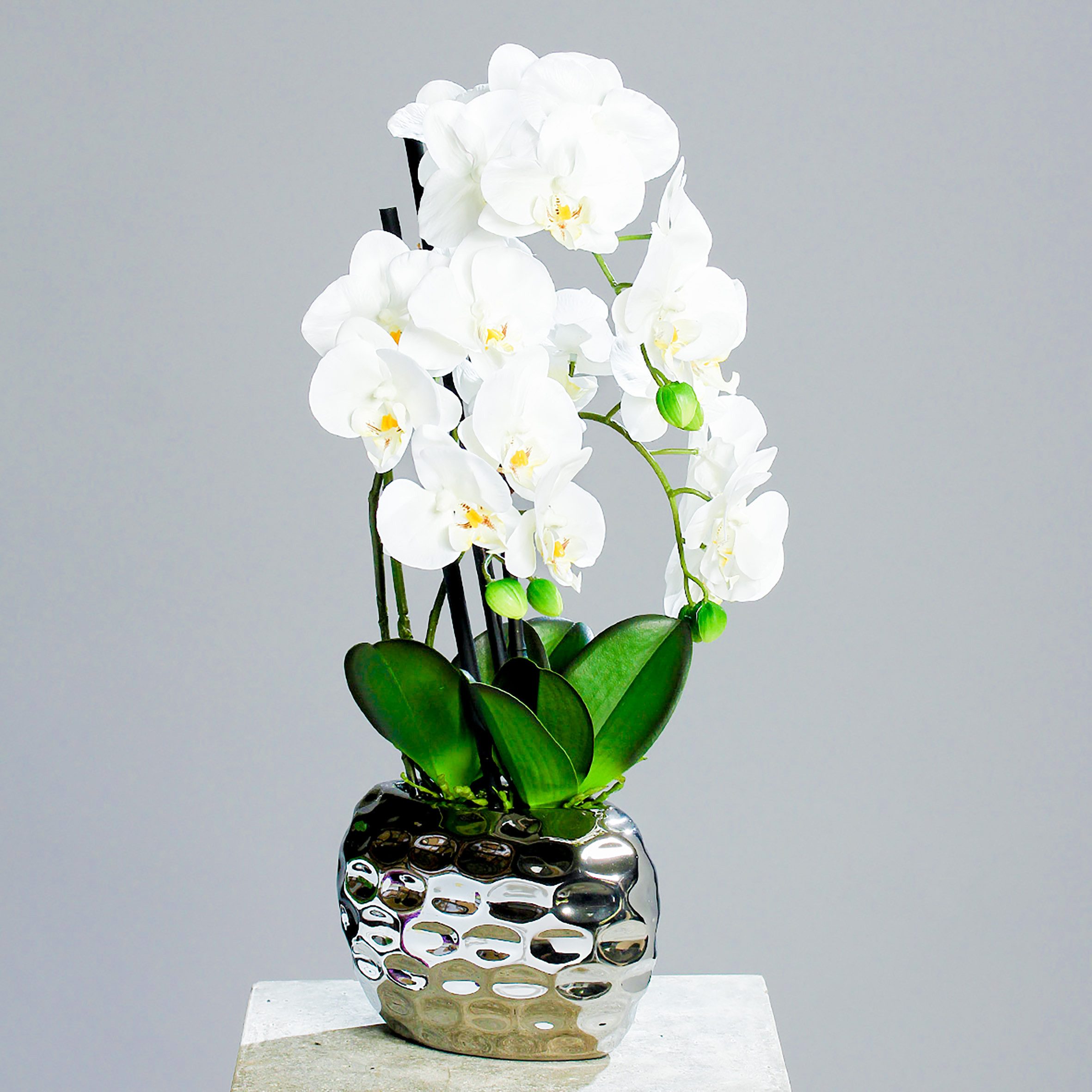 Kunstorchidee Kunst Orchidee in silberner Schale - 53 cm Orchidee, Spetebo, Höhe 53 cm, Dekoblume mit modernem Blumentopf