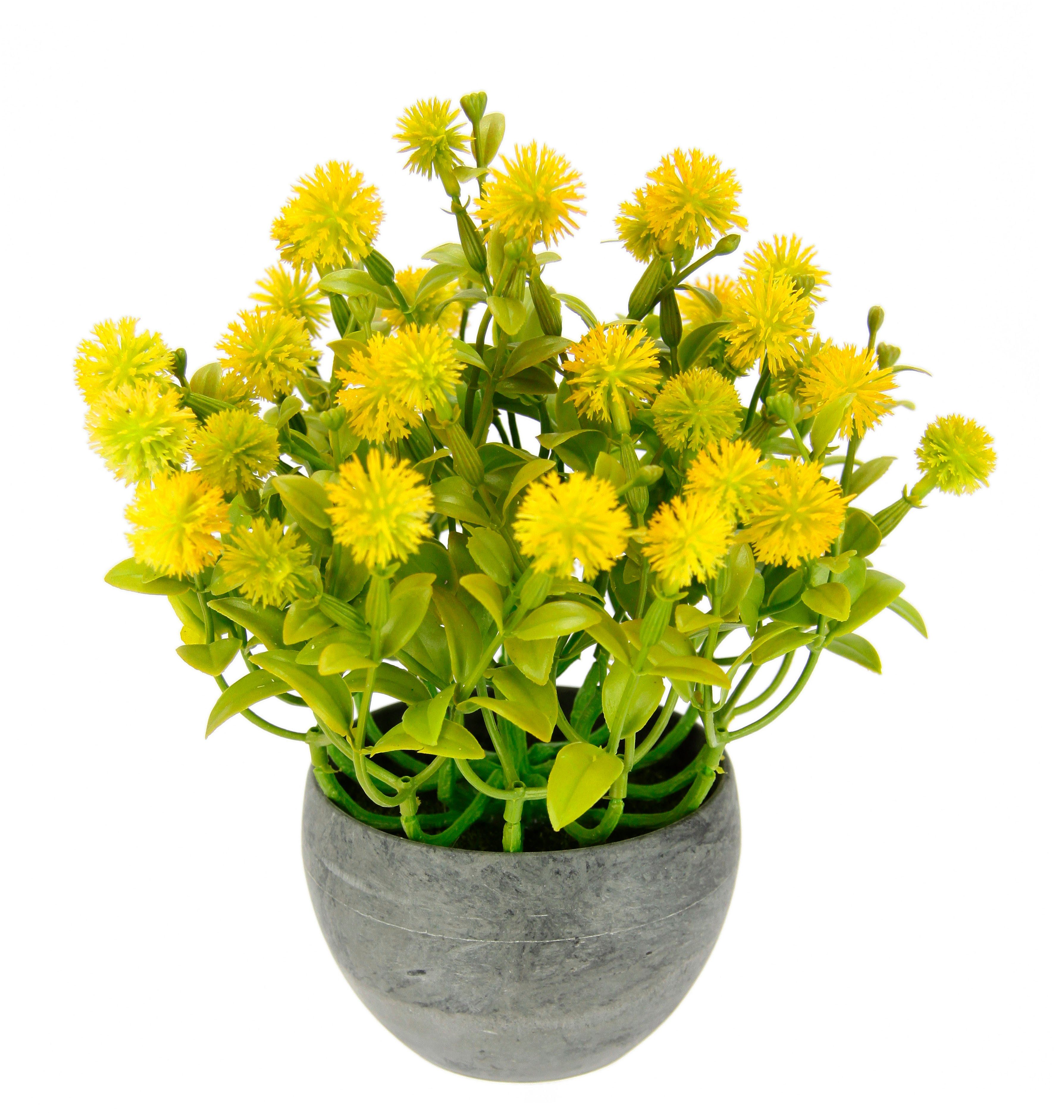 Kunstpflanze Margerite im Topf Korbblüter, I.GE.A., Höhe 23 cm