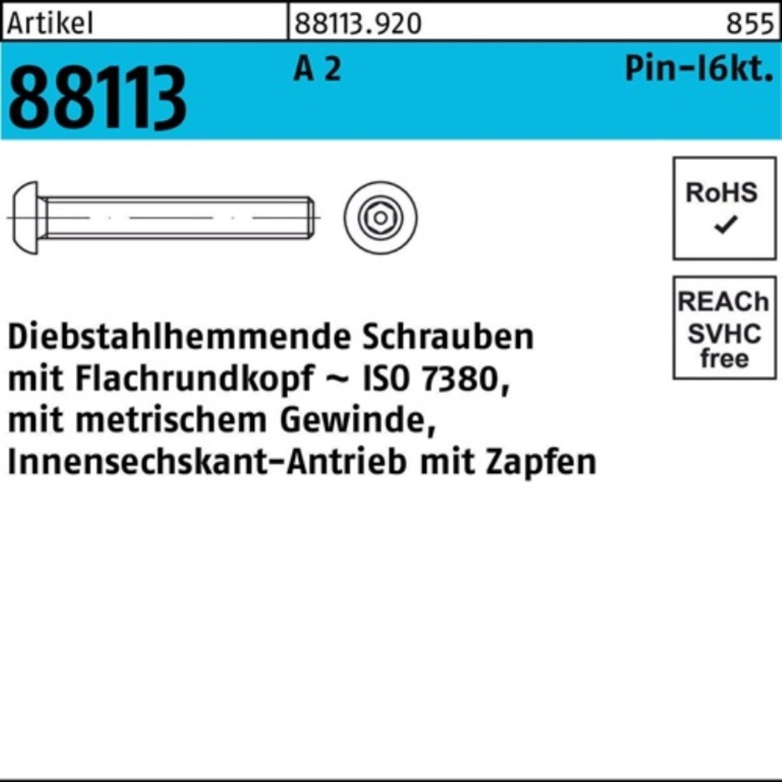 Reyher Schraube 100er Pack Schraube M5x 88113 Innen-6kt R Zapfen diebstahlh. A 10 2 40