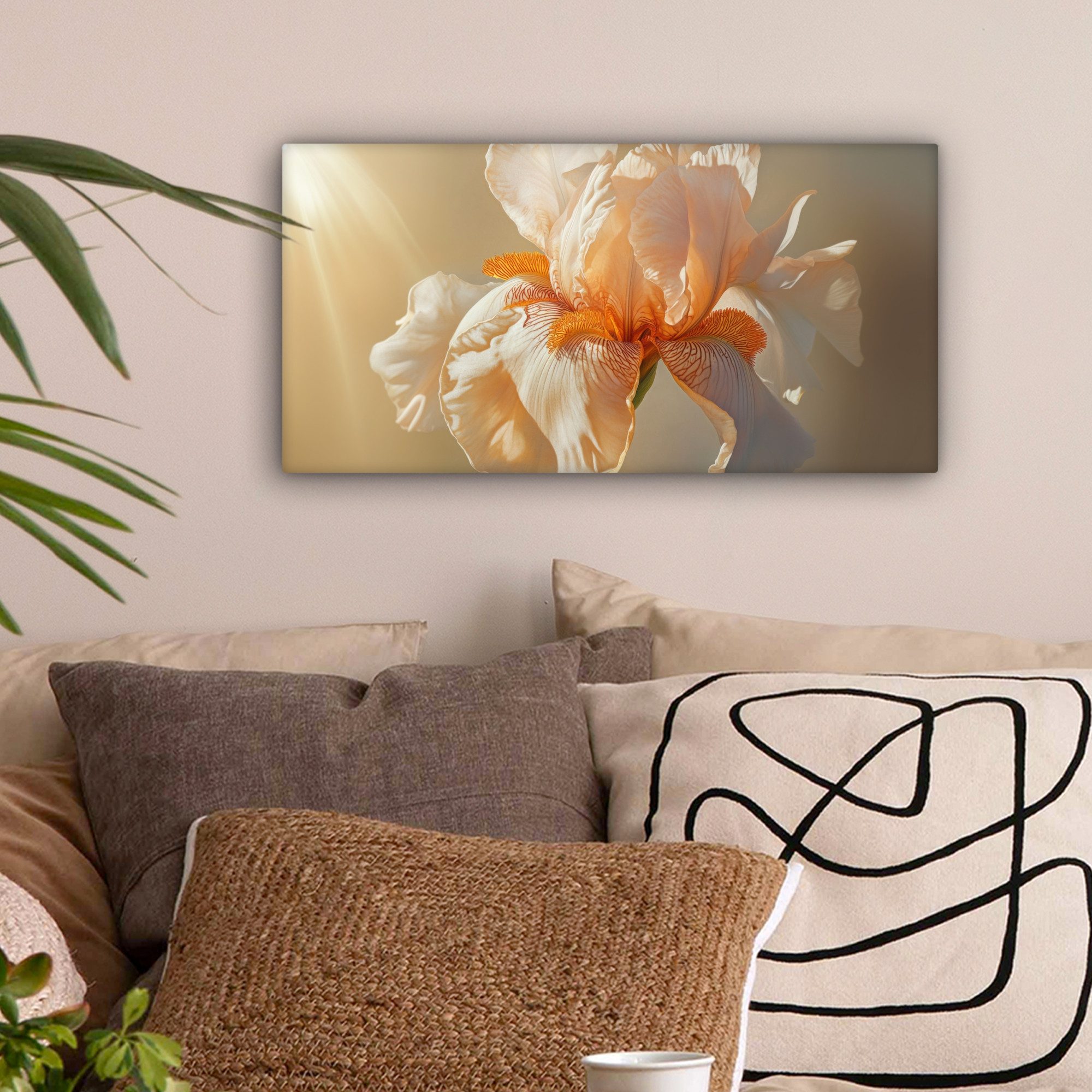 OneMillionCanvasses® Leinwandbild Panorama Nahaufnahme - Orange günstig online kaufen