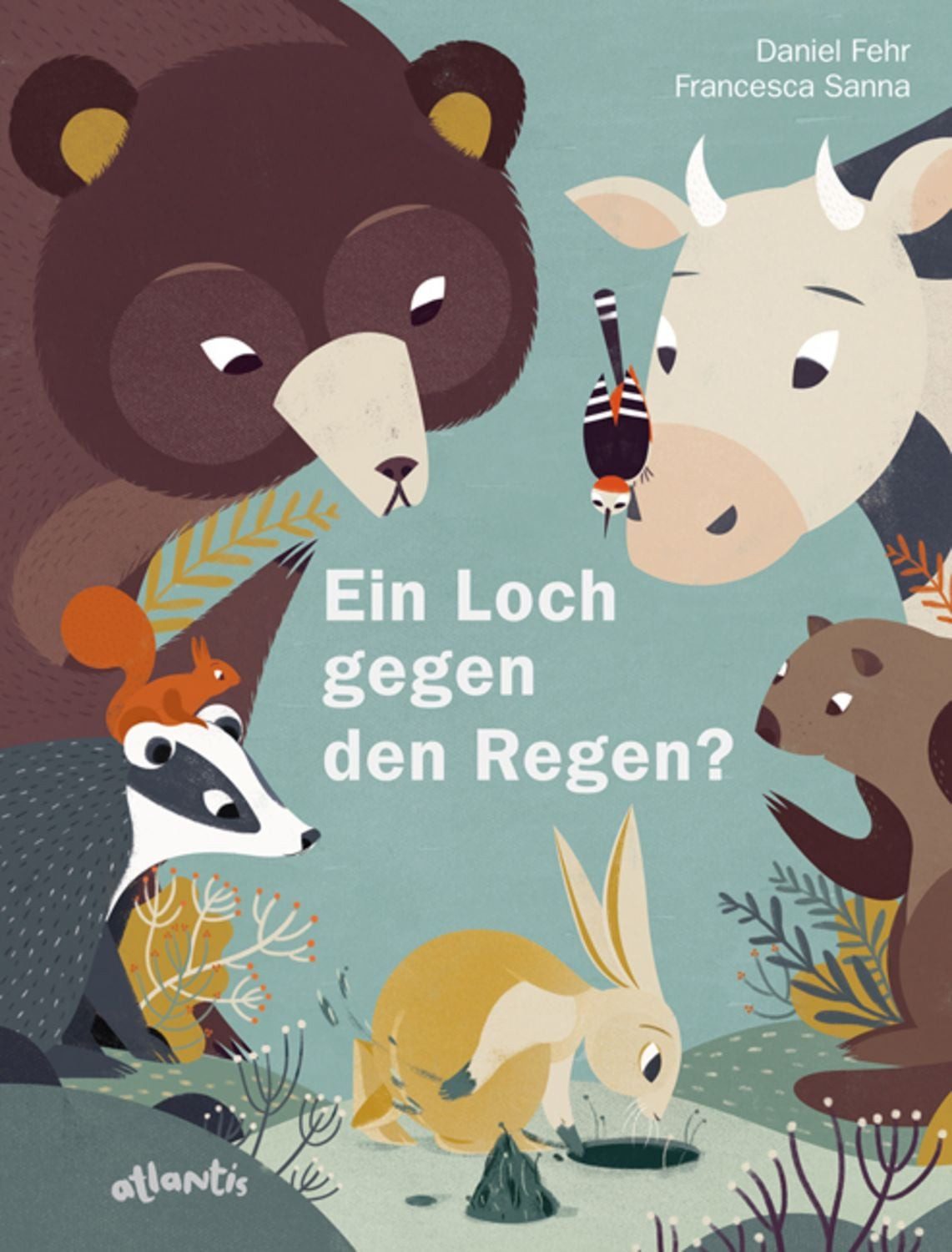 Ein Loch gegen den Regen? / Daniel Fehr