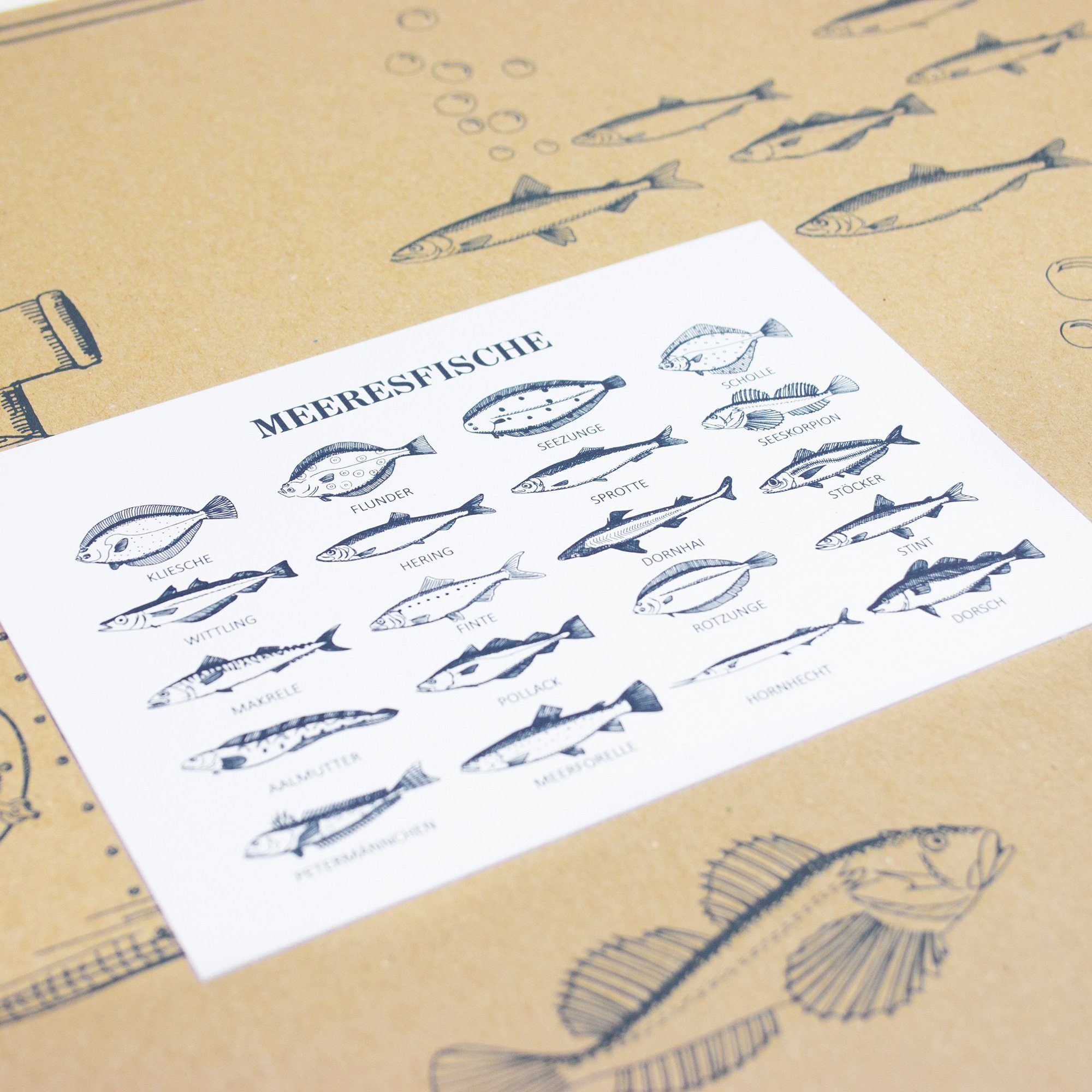 Bow & Hummingbird Postkarte Postkarte Meeresfische, 100 % Recyclingpapier