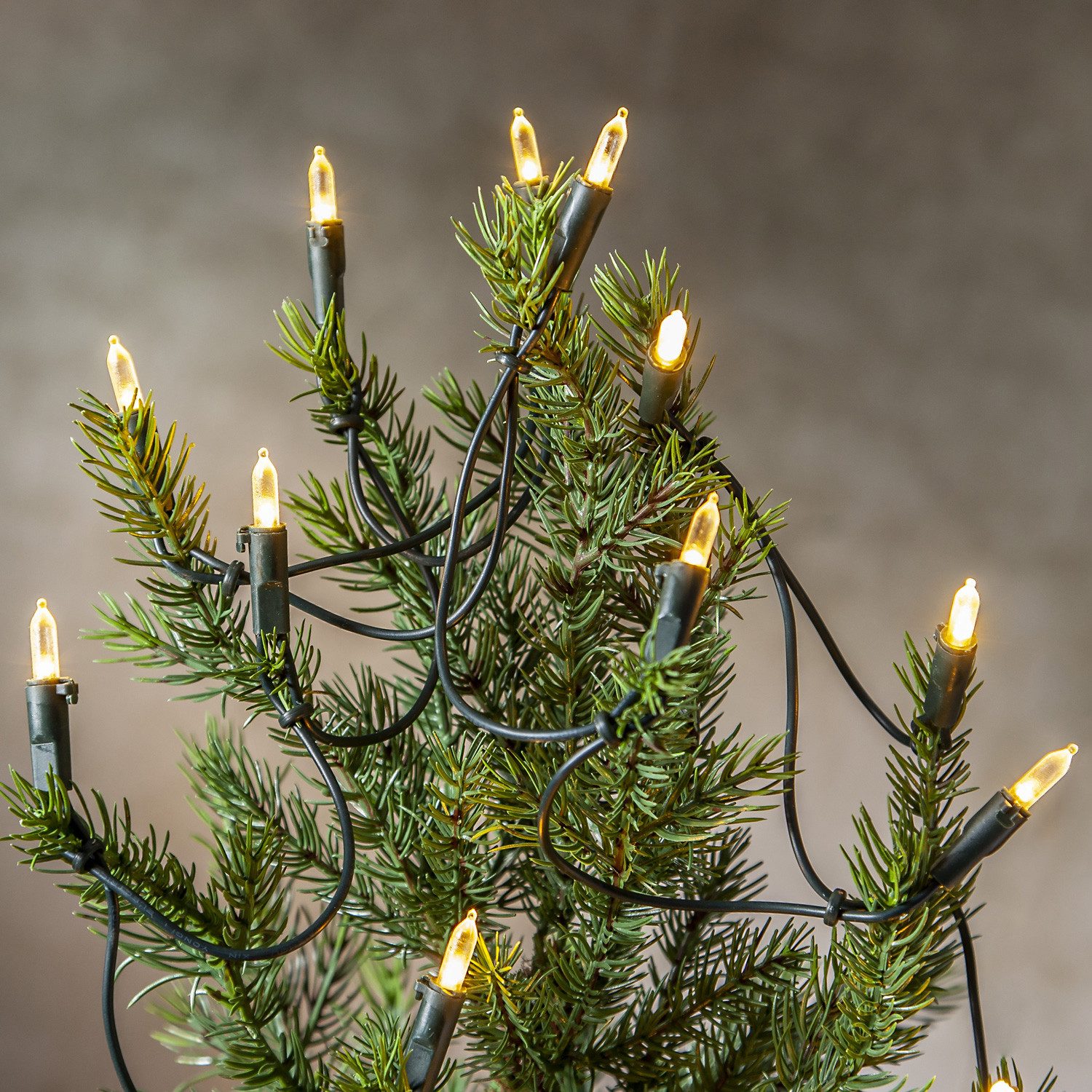 MARELIDA LED-Lichterkette Weihnachtslichterkette Pisello 20 warmweiße LED 2,85m für Innen grün, 20-flammig