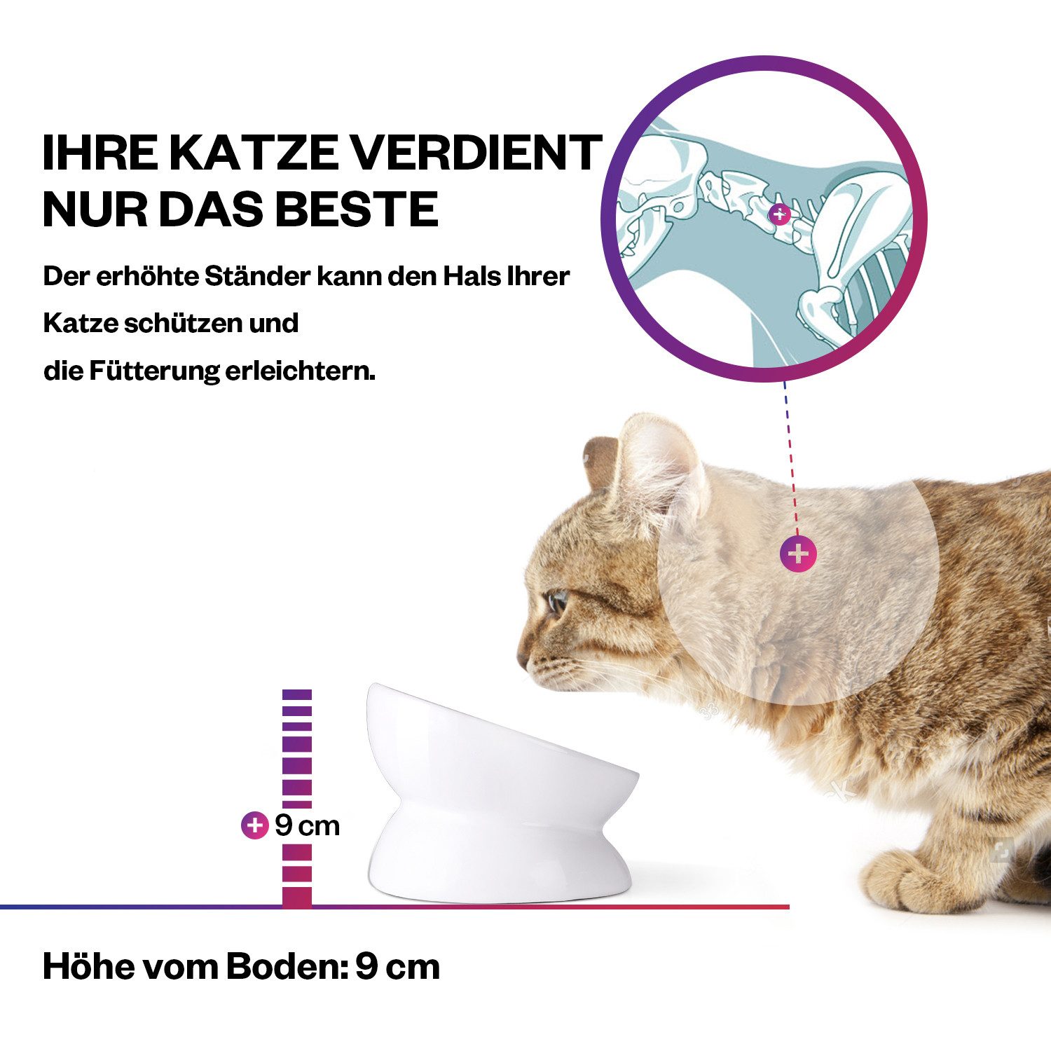 Thumbnail - Dowan Futternapf Y YHY Katzennapf, Erhöhte, gekippte Katzenfutterschalen