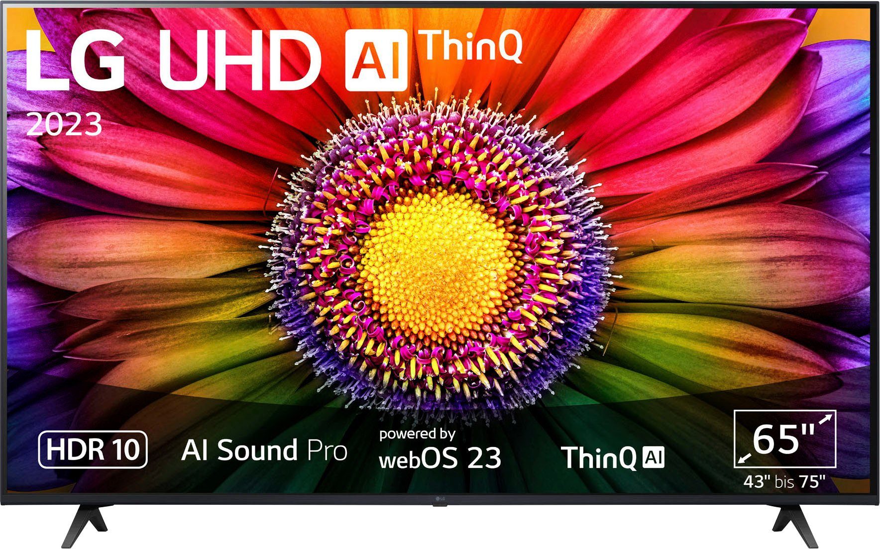 Kunden-Test & Erfahrungen zu LG 65UR80006LJ LED-Fernseher (164 cm/65 ...