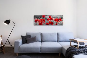 möbel-direkt.de Leinwandbild Bilder XXL Mohnblumen in Rot Wandbild auf Leinwand