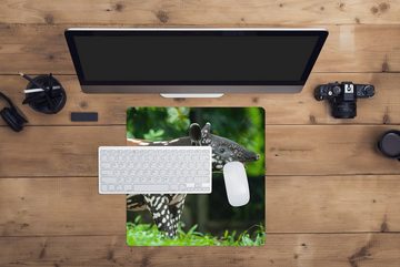 MuchoWow Gaming Mauspad Junger Tapir im Dschungel (1-St), Mousepad mit Rutschfester Unterseite, Gaming, 40x40 cm, XXL, Großes