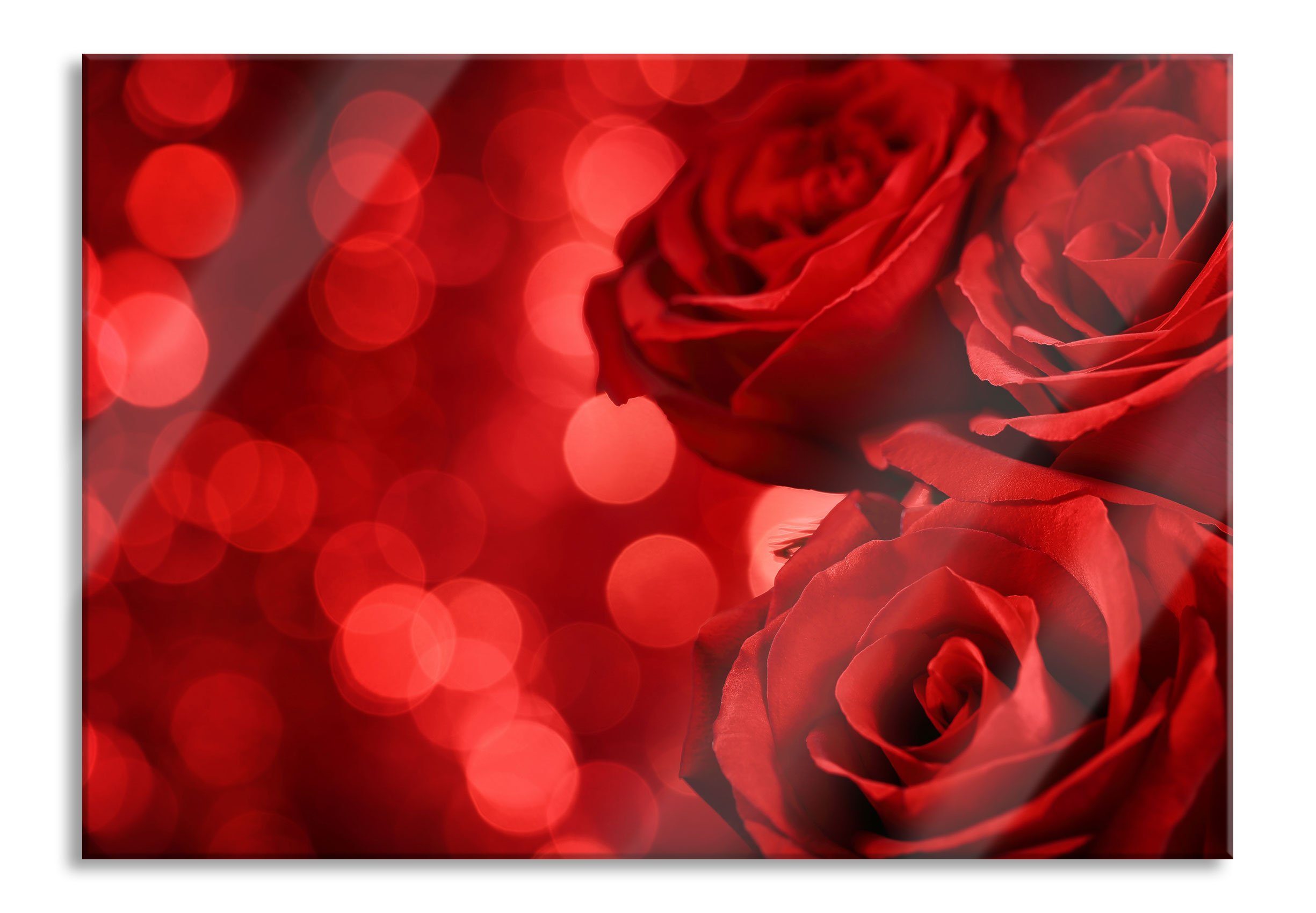 Glasbild Drei rote Rosen