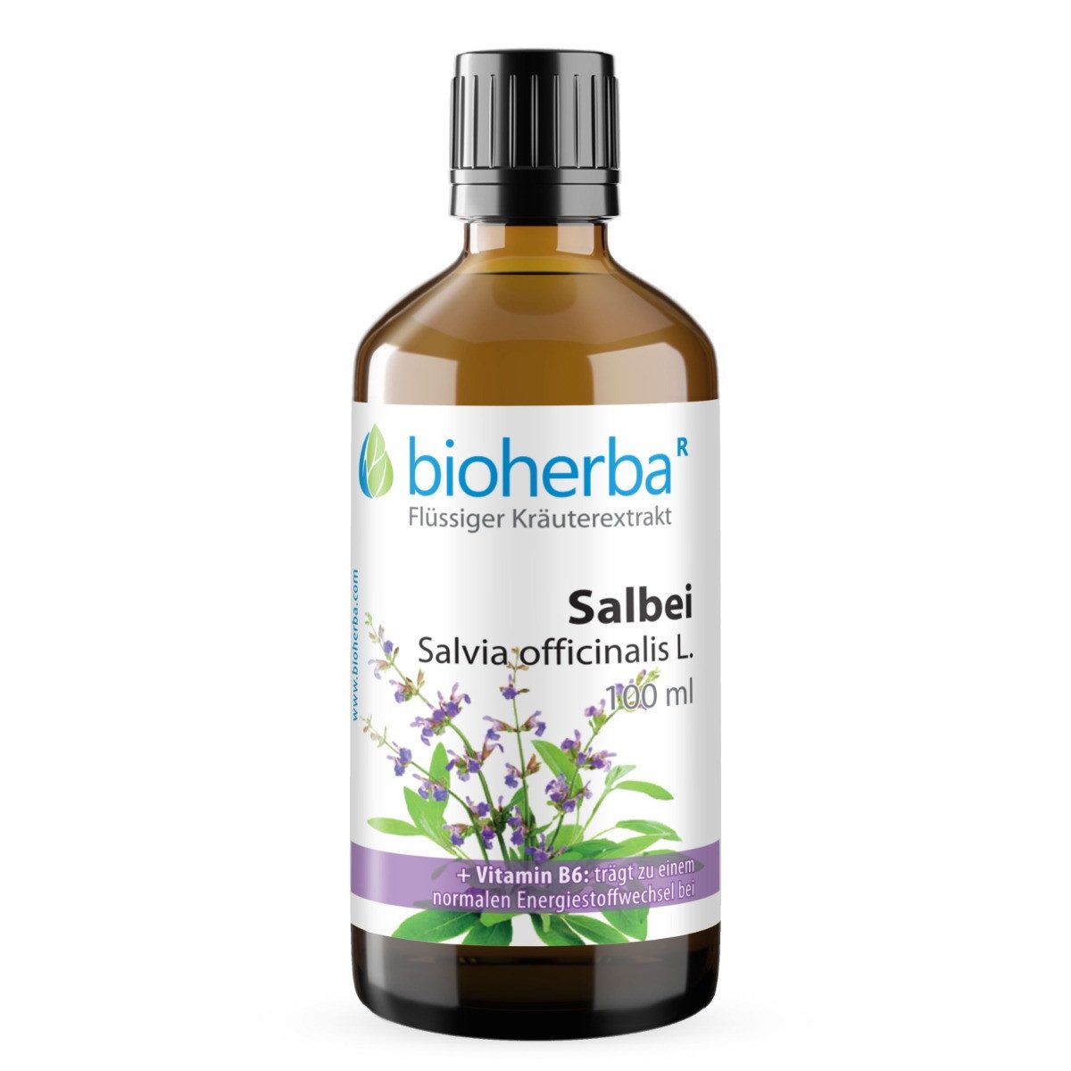 BIOHERBA R Bioherba Salbei Salvia officinalis L. Tropfen Tinktur 100 ml Glasflasche, 1 er