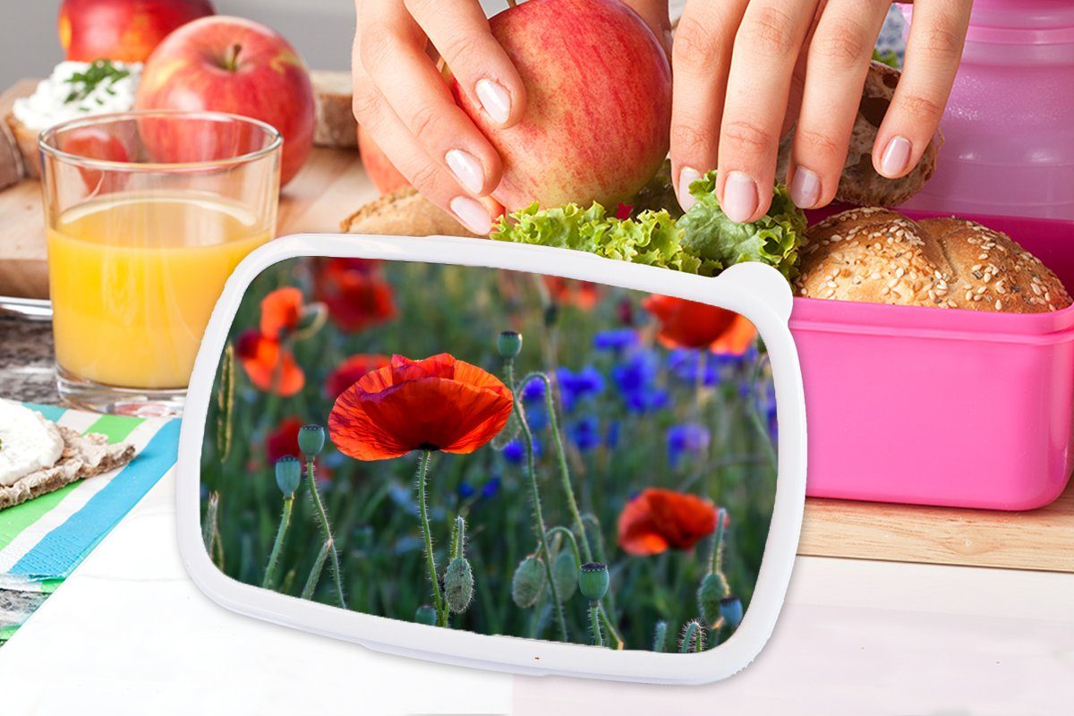 Brotbox Bunte Mädchen, Brotdose Lunchbox (2-tlg), MuchoWow Niederlanden, den Snackbox, Kunststoff, für Erwachsene, Kinder, in rosa Mohnblumen Kunststoff