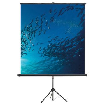 magnetoplan® Stativ-Leinwand Cineflex Standard - (B)200x(H)200cm Pull-Up-Leinwand