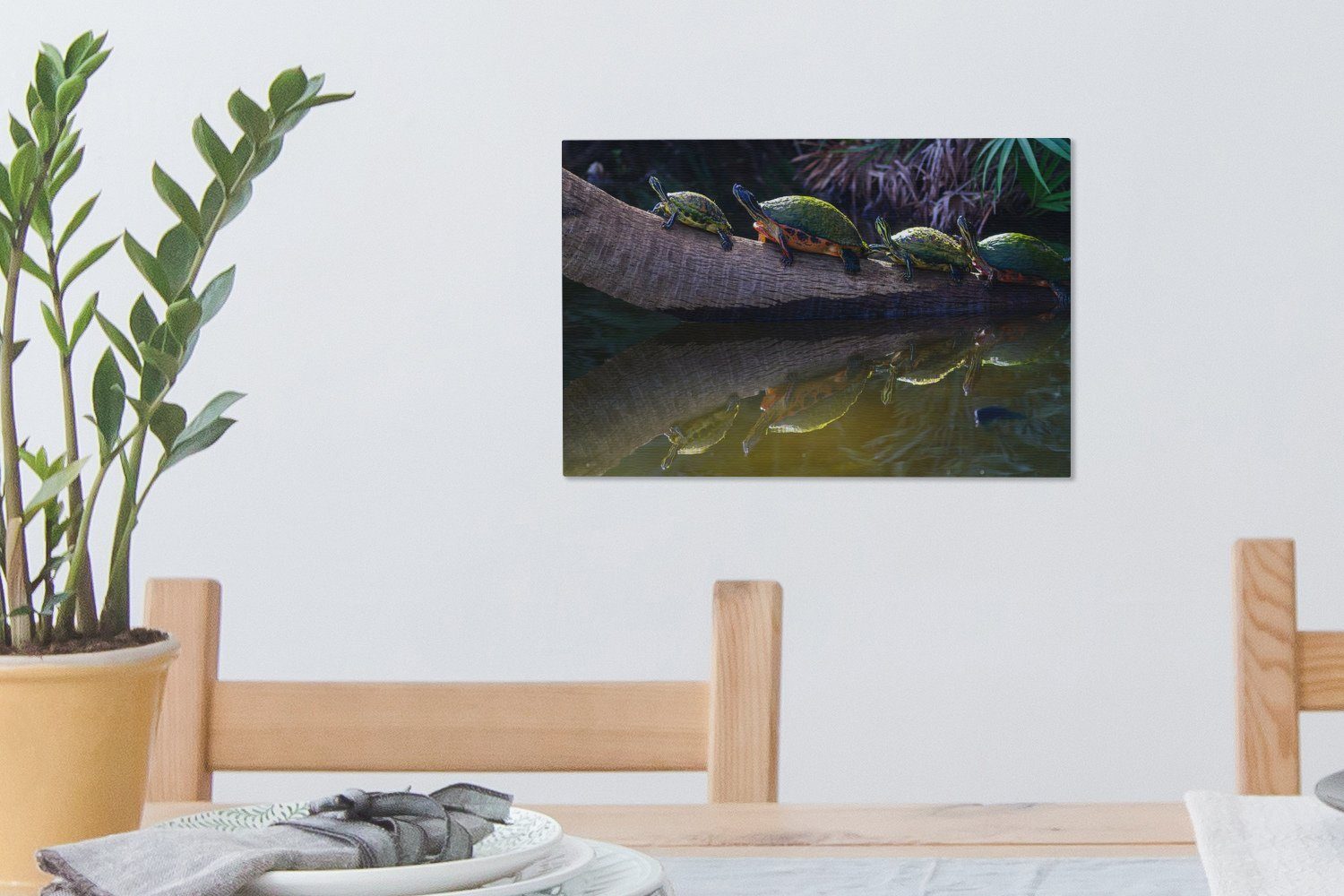 (1 Schildkröten St), Wanddeko, cm Nähe des Wassers Leinwandbild Aufhängefertig, bei Palme in einer der OneMillionCanvasses® Leinwandbilder, 30x20 Nacht, Wandbild auf