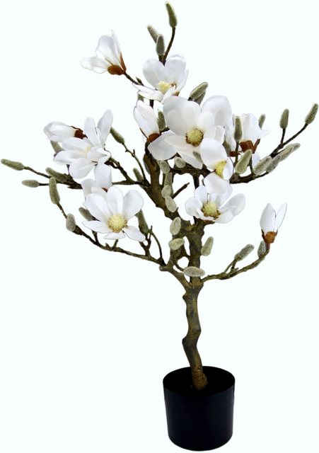 Kunstbaum »Magnolienbaum«, I.GE.A., Höhe 78 cm, im Kunststofftopf-Otto