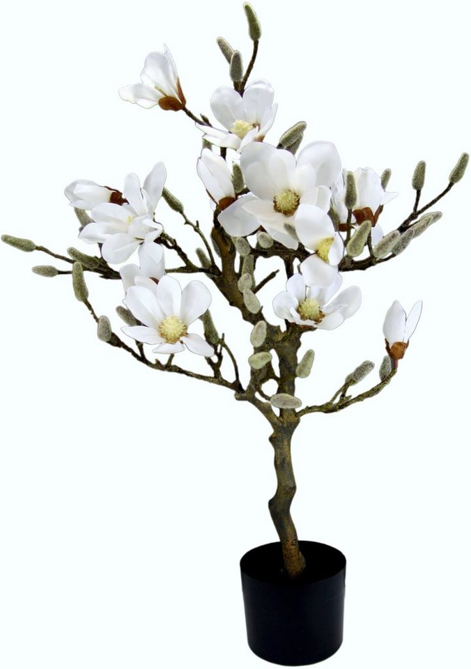 Kunstbaum Magnolienbaum, I.GE.A., Höhe 78 cm, im Kunststofftopf