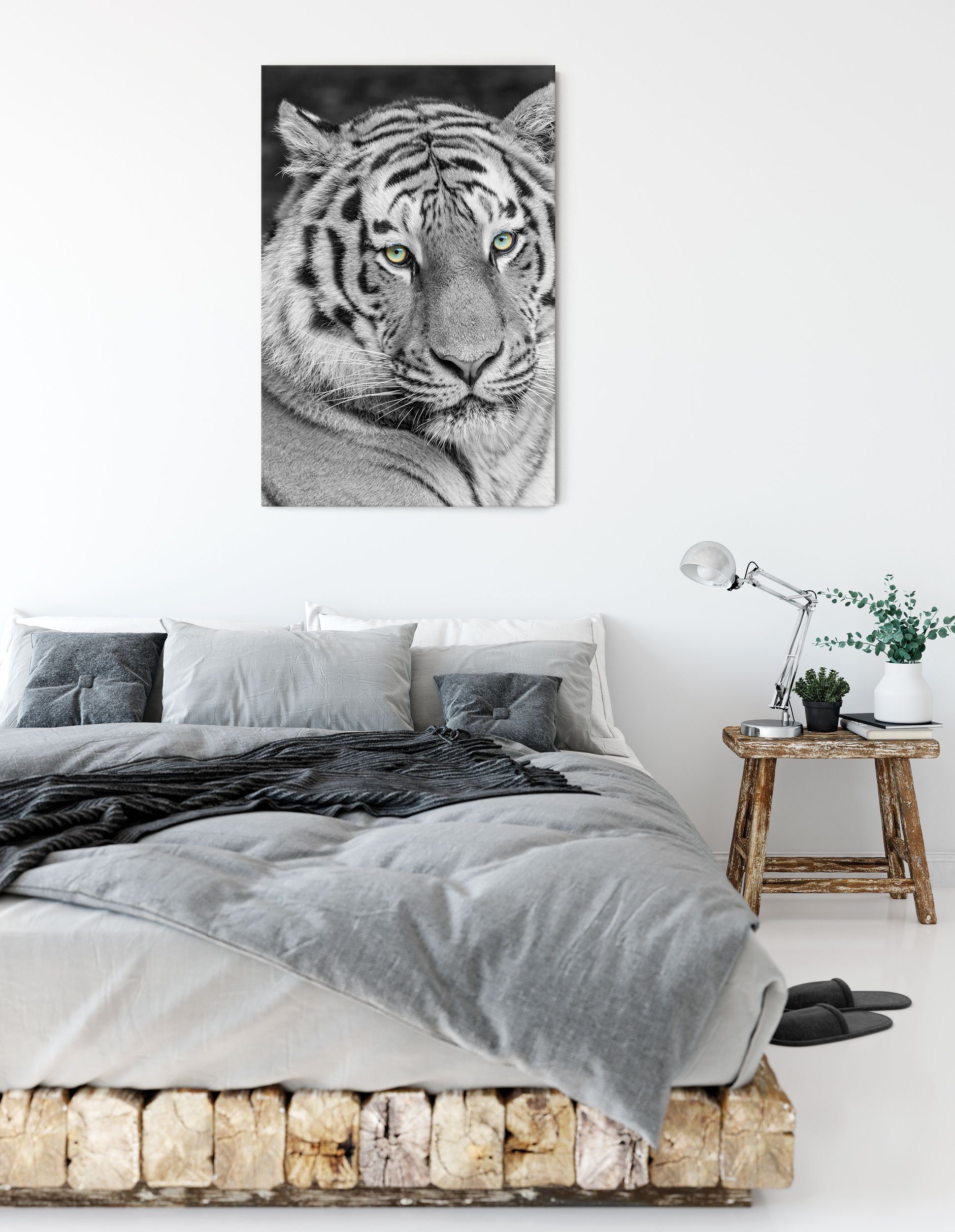 St), Leinwandbild schöner Zackenaufhänger Leinwandbild Tiger (1 inkl. Pixxprint Tiger, prächtiger bespannt, schöner fertig prächtiger