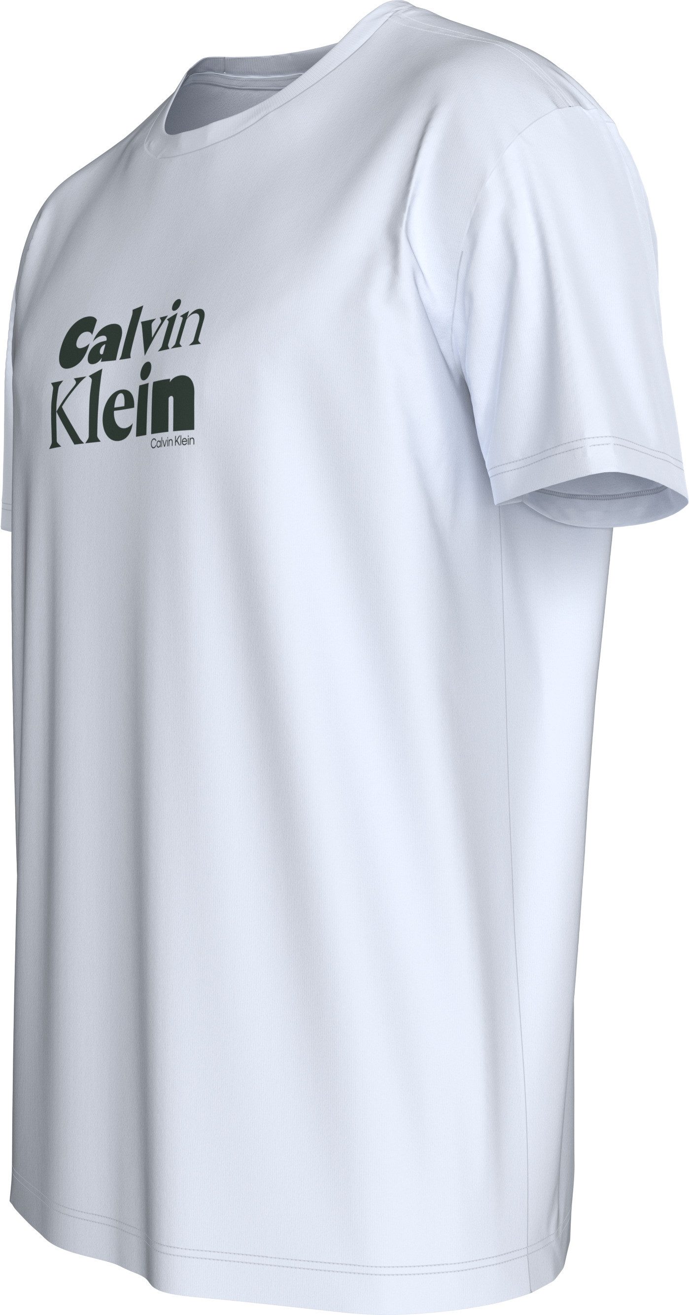 Calvin Klein T-Shirt SS 30S EU CALVIN KLEIN BOLD GRAP Mit Rundhalsausschnitt, regular fit