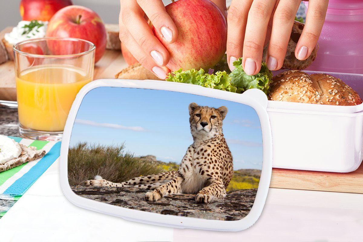 MuchoWow Lunchbox Leopard Jungs Natur, und Tiere Erwachsene, Brotdose, und für - Kunststoff, Mädchen (2-tlg), weiß Brotbox für Kinder 