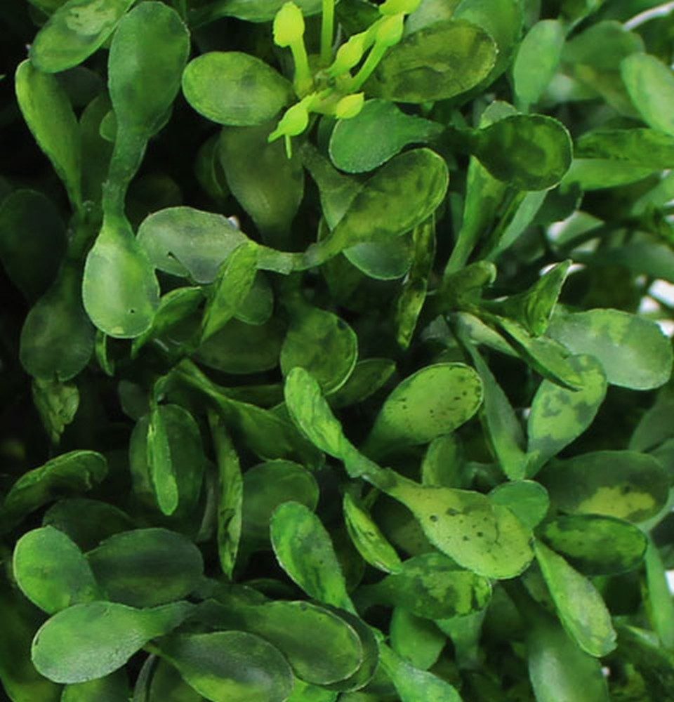 Künstliche Zimmerpflanze Buchskugel Ø12cm Kunstpflanze Deko günstig online kaufen