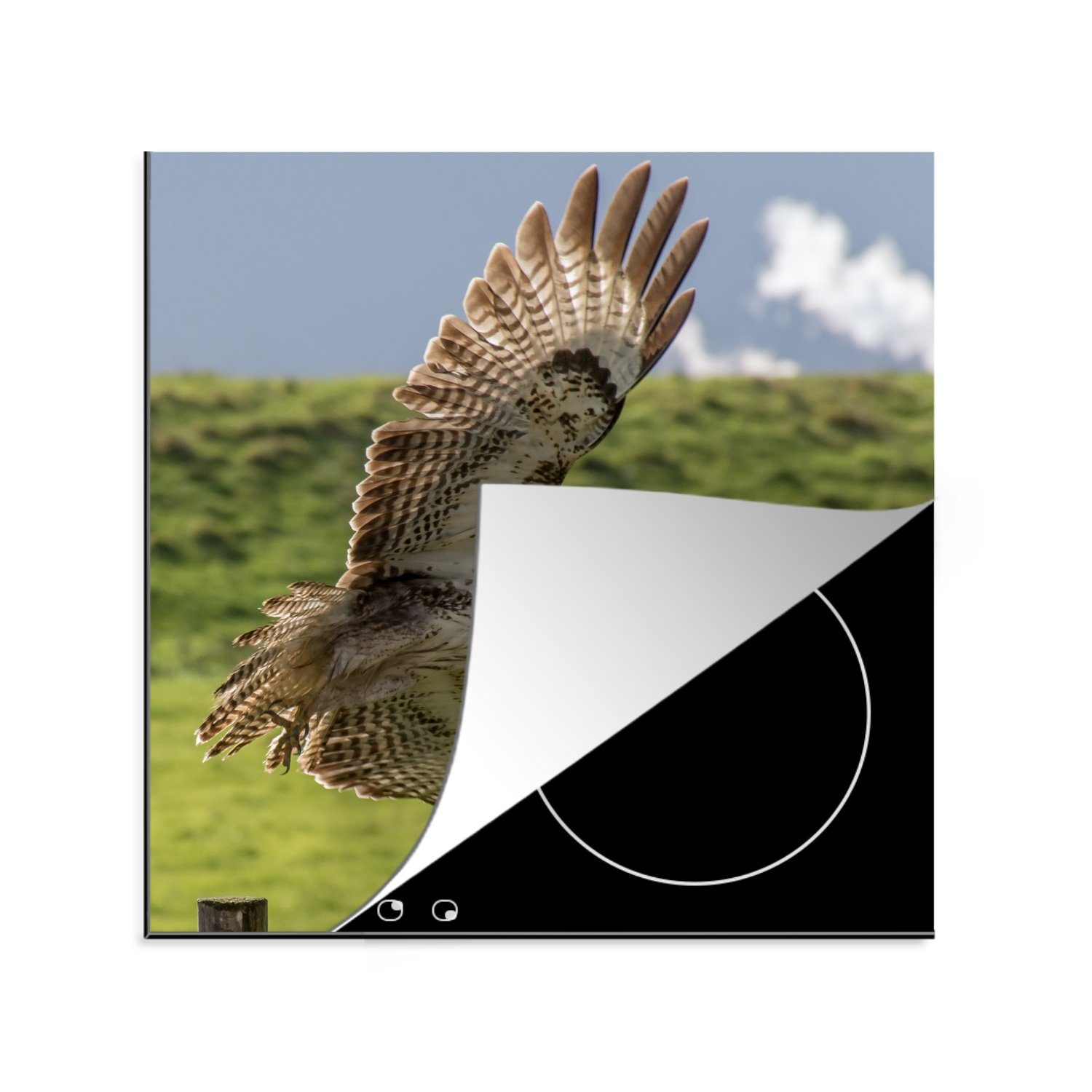 Bussard Flügeln, Vinyl, Arbeitsplatte tlg), (1 cm, 78x78 für MuchoWow mit ausgebreiteten Ceranfeldabdeckung, küche Herdblende-/Abdeckplatte Ein