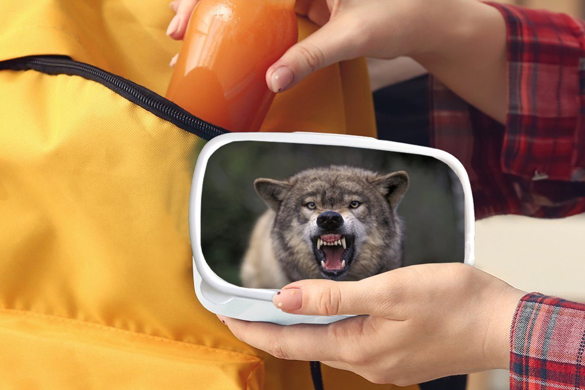 MuchoWow Lunchbox Wolf - Maul Mädchen - für Zähne, Jungs Brotdose, Kunststoff, Brotbox und weiß Erwachsene, Kinder (2-tlg), für und