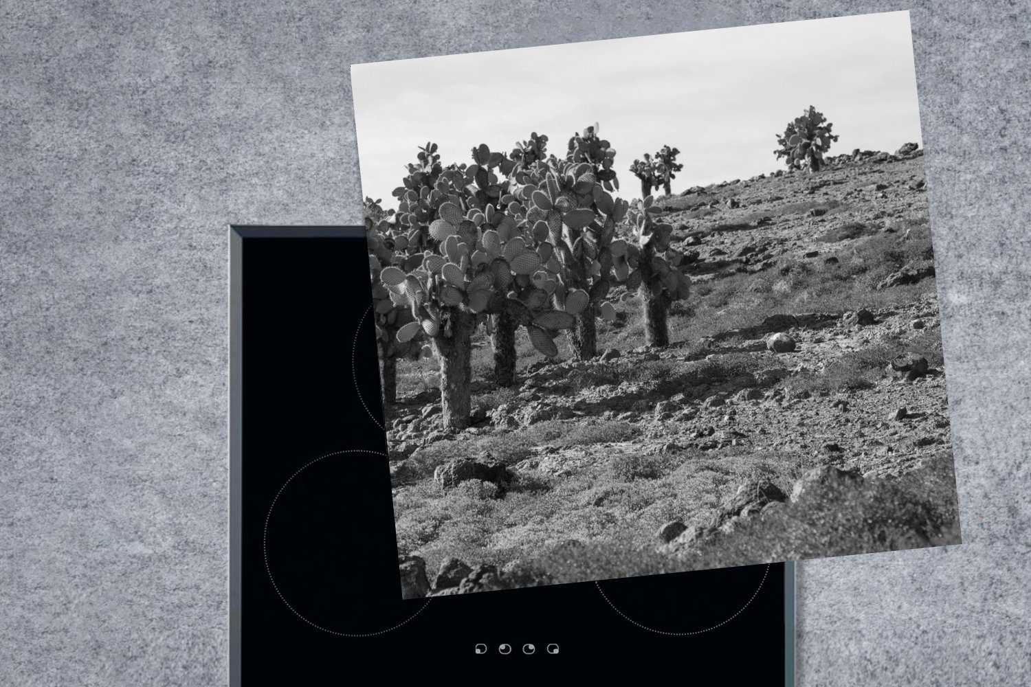 Vinyl, Arbeitsplatte Ceranfeldabdeckung, - Kaktus Schwarz tlg), (1 78x78 - Südamerika, - küche Herdblende-/Abdeckplatte MuchoWow für Weiß cm,