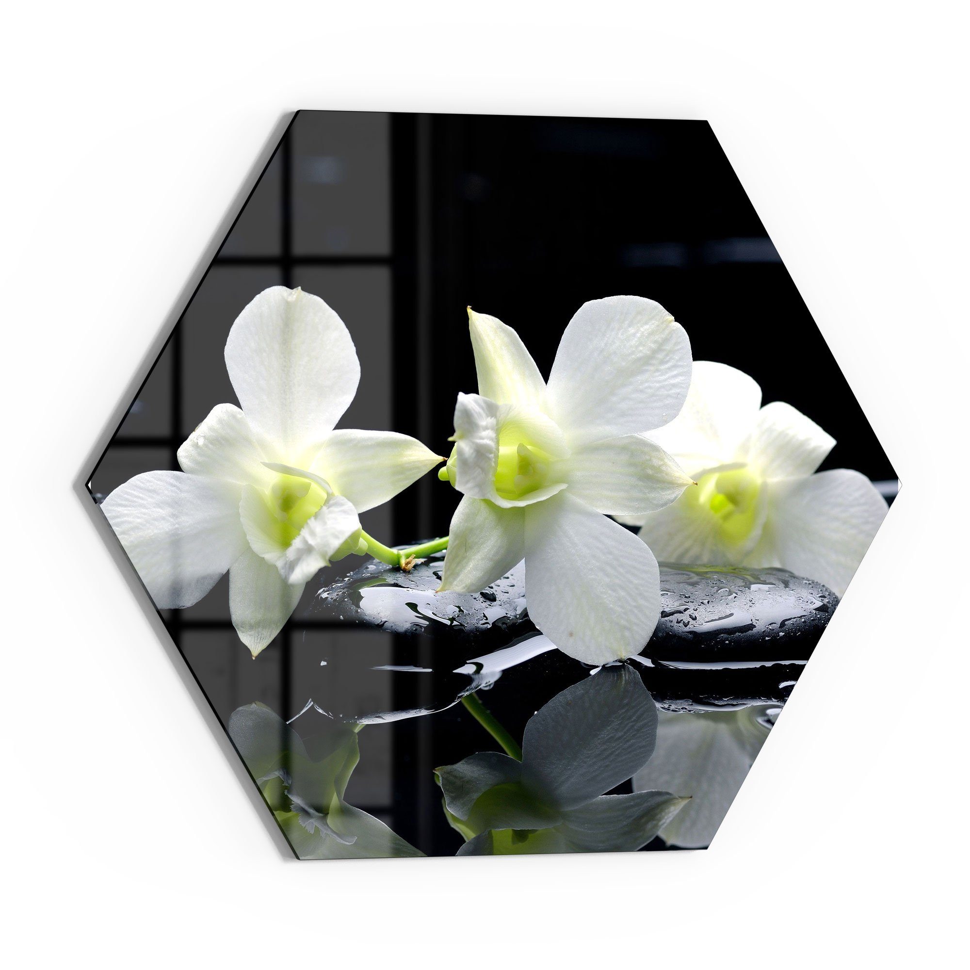DEQORI Glasbild 'Orchidee mit Zen-Steinen', 'Orchidee günstig online kaufen