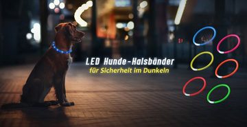 PRECORN Hundehalsbandleuchte LED Silikon Leuchthalsband Sicherheits Hunde-Halsband Set USB Rot/Blau