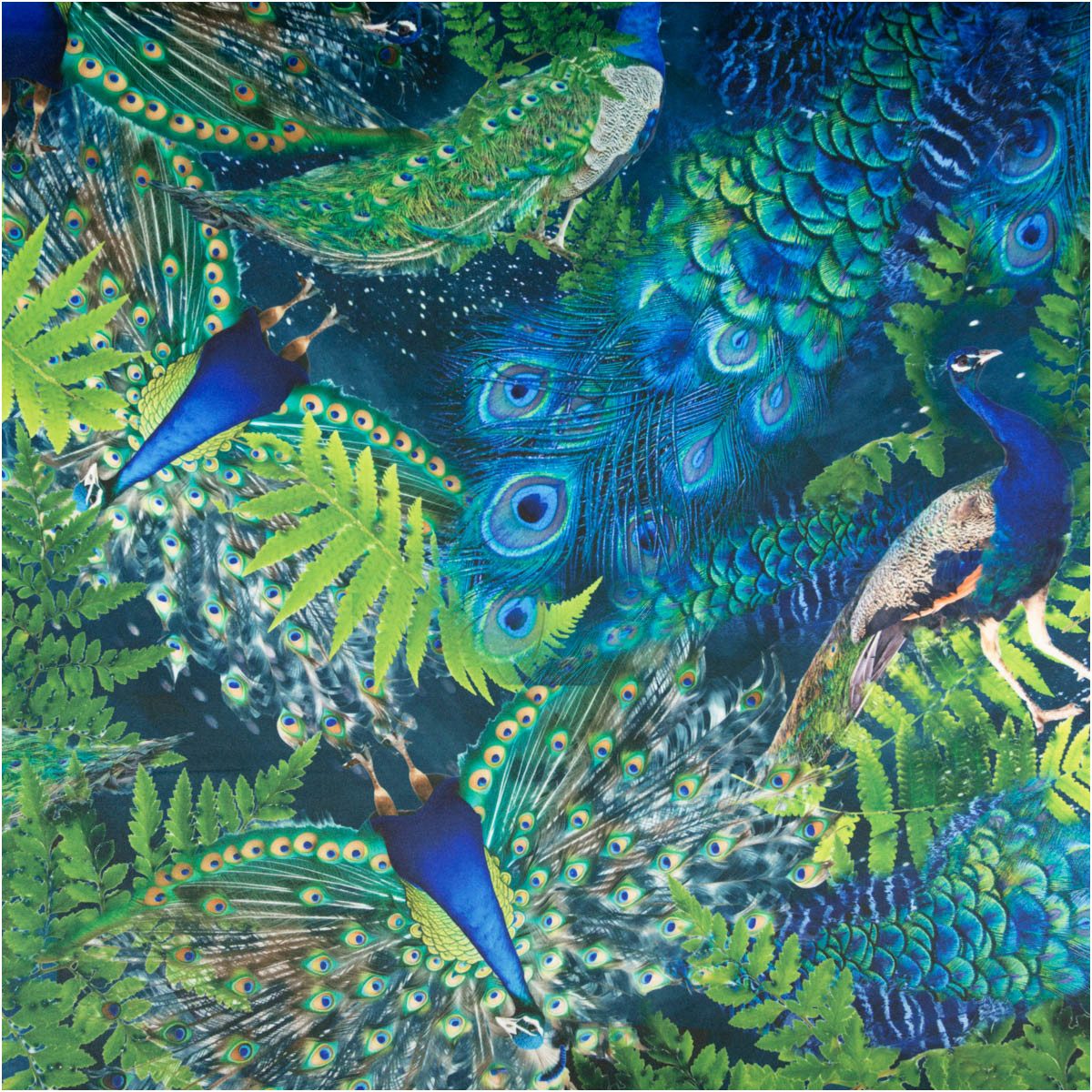 SCHÖNER LEBEN. Stoff Samtstoff Pfau blau-grün – Digitaldruck mit leuchtendem Design, Digitaldruck
