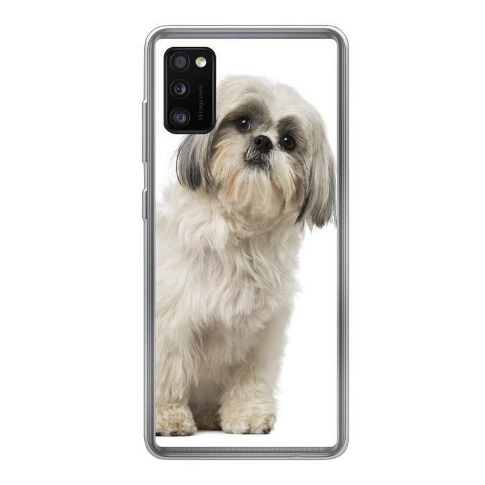 MuchoWow Handyhülle Ein Shih Tzu Hund posiert für die Kamera Handyhülle Samsung Galaxy A41 Smartphone-Bumper Print Handy