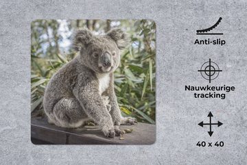 MuchoWow Gaming Mauspad Koala - Regal - Pflanzen - Kinder - Jungen - Mädchen (1-St), Mousepad mit Rutschfester Unterseite, Gaming, 40x40 cm, XXL, Großes