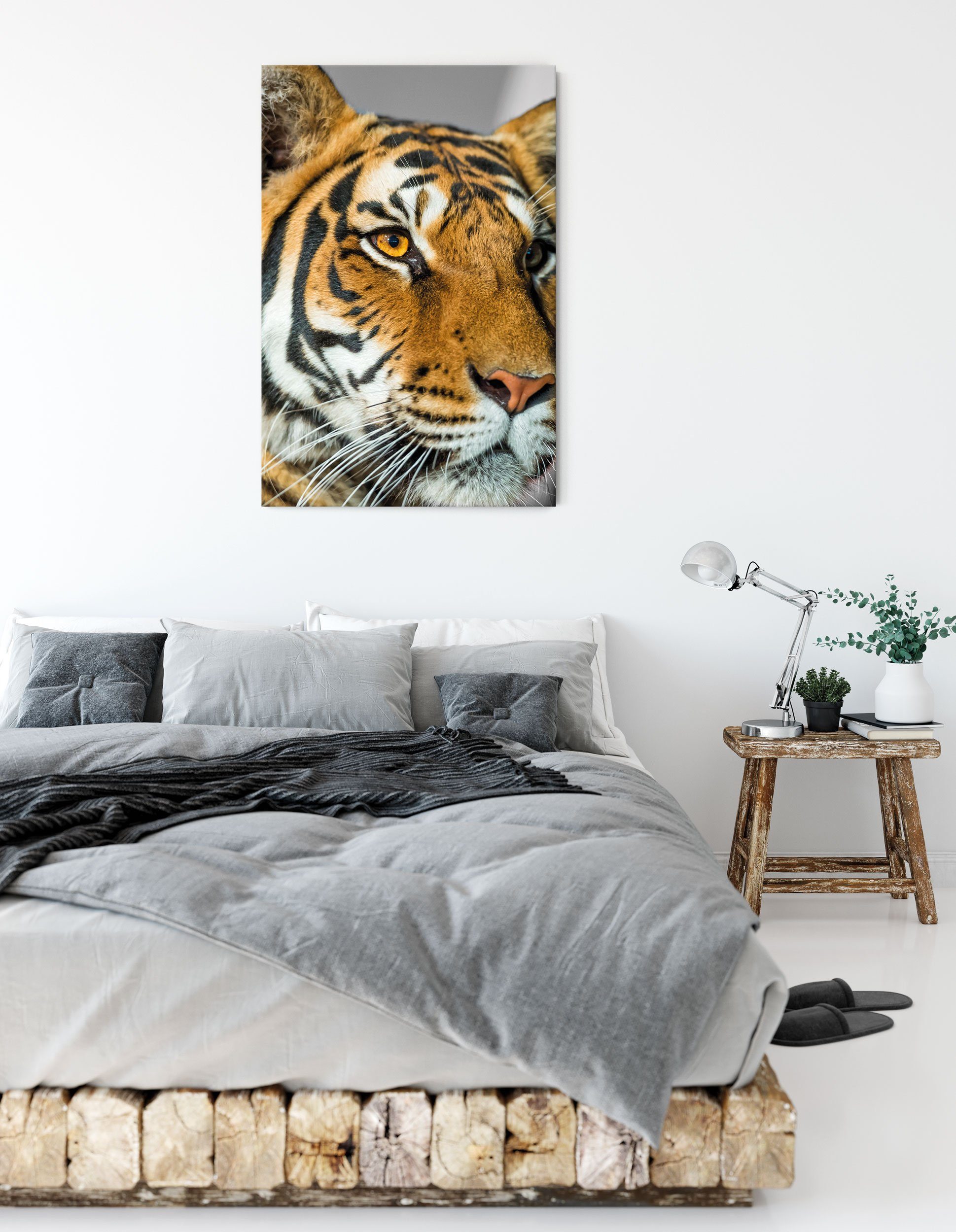 Pixxprint Leinwandbild bildschöner Tiger, bildschöner bespannt, (1 Zackenaufhänger Leinwandbild fertig St), inkl. Tiger