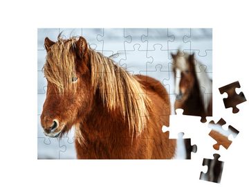 puzzleYOU Puzzle Porträt eines schönen Islandpferdes, 48 Puzzleteile, puzzleYOU-Kollektionen Pferde, Islandpferde