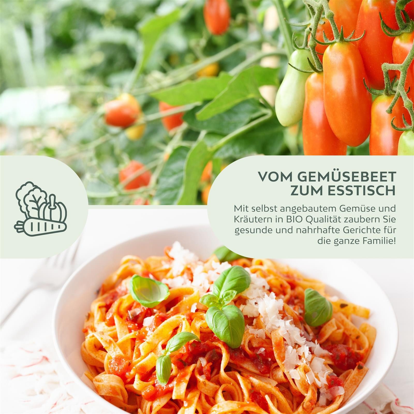 Growgreens Gemüsesamen BIO Tomatensamen (San Marzano) - Tomaten Saatgut (10 Korn), Tomaten