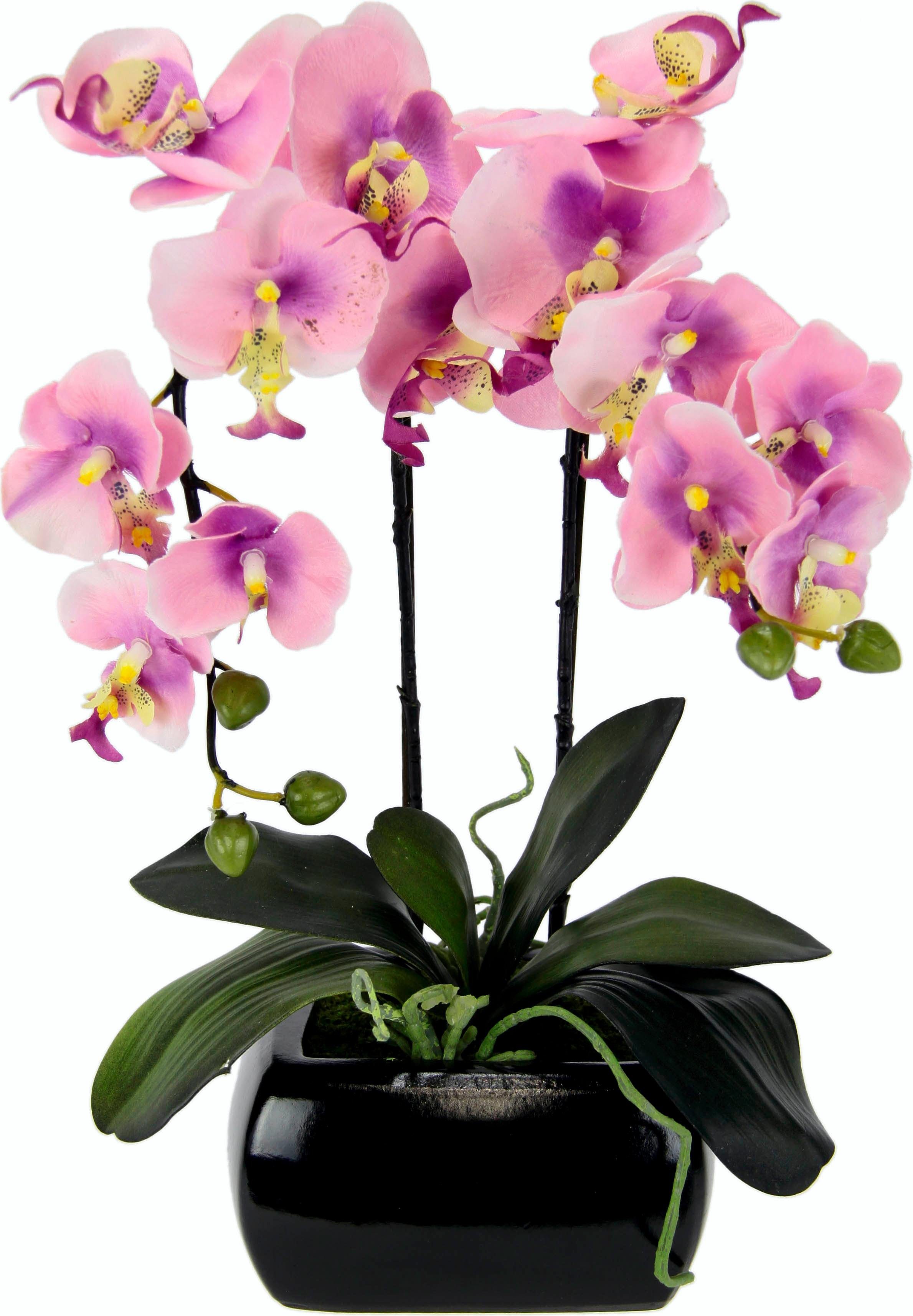 Kunstpflanze Phalaenopsis, I.GE.A., Höhe 58 cm