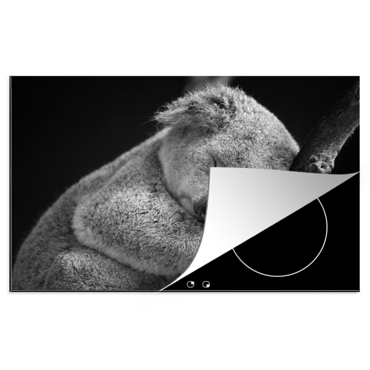 MuchoWow Herdblende-/Abdeckplatte Koala - Zweig - Schwarz - Kinder - Jungen - Mädchen, Vinyl, (1 tlg), 81x52 cm, Induktionskochfeld Schutz für die küche, Ceranfeldabdeckung