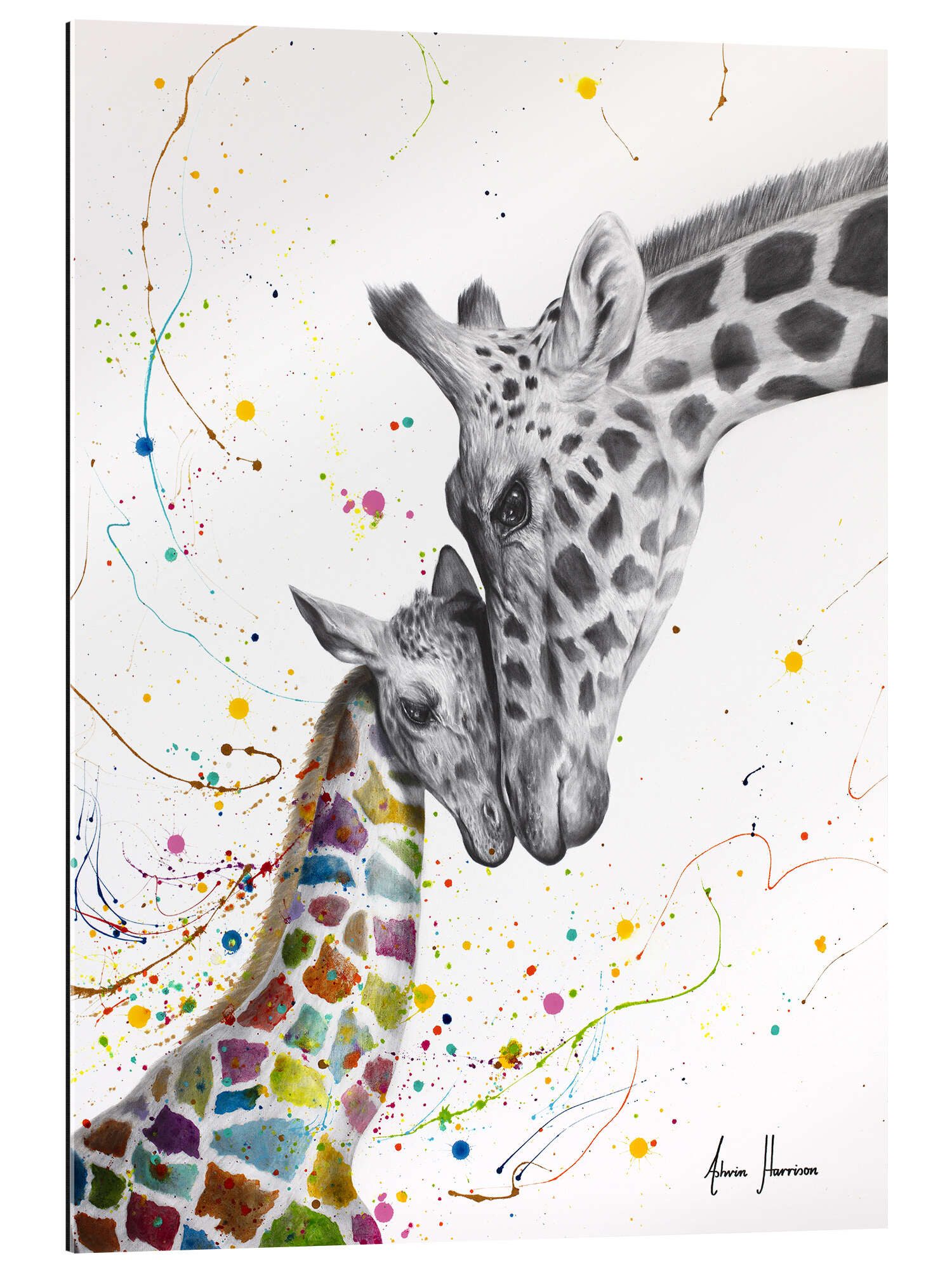 XXL-Wandbild Ashvin Harrison