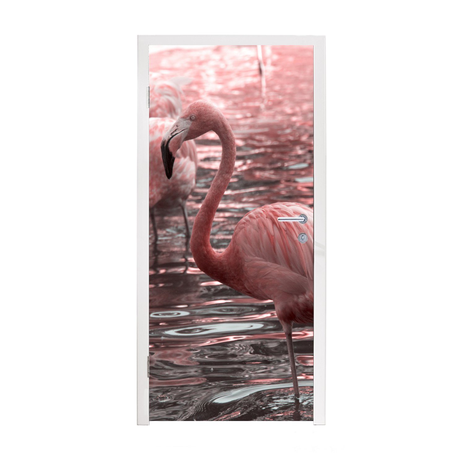 steht cm für Tür, 75x205 Flamingos Wasser, Gruppe Türtapete bedruckt, Eine von (1 Matt, im Fototapete Türaufkleber, MuchoWow St),
