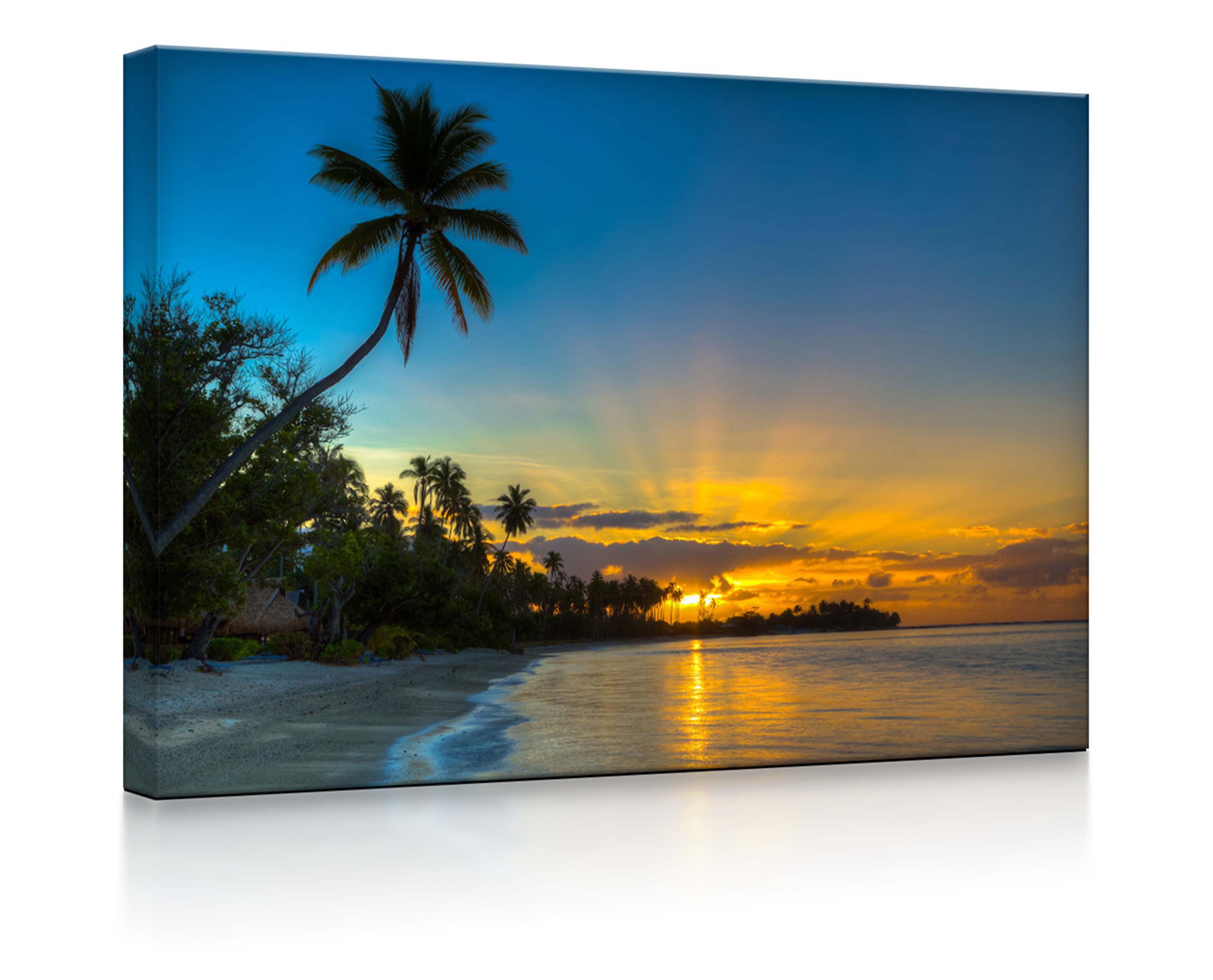 lightbox-multicolor LED-Bild Palmen am Strand front lighted / 60x40cm, Leuc günstig online kaufen