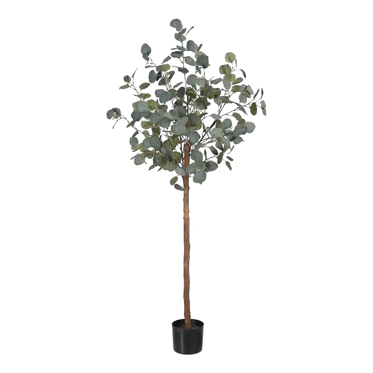 Kunstbaum Künstlicher Eucalyptus Baum - Parla, 150 cm, aplanta