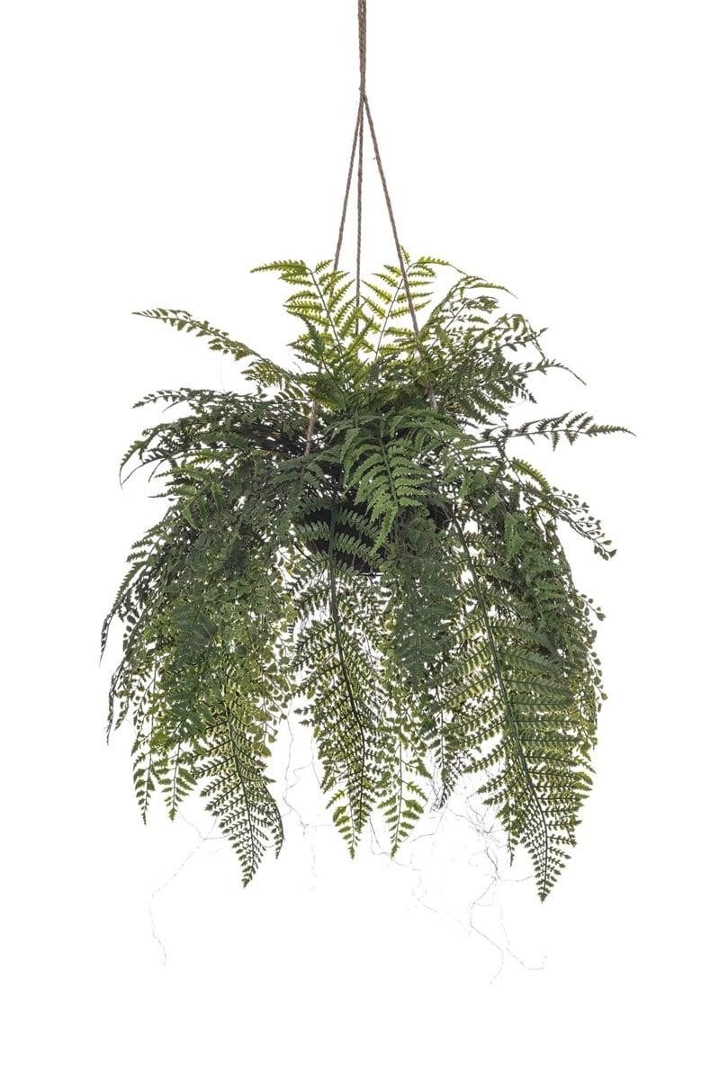 Gestecke Farn Blumenampel MAXROL, Erdballen, Wurzeln, hängend, grün, 85cm, artplants, Höhe 85.0 cm
