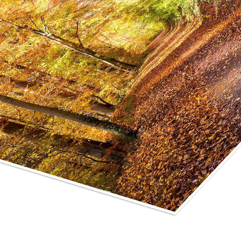 Posterlounge Wandbild Indian Summer in Nordamerika, Jan Christopher Becke, erhältlich als Poster, Leinwandbild, Wandsticker oder Acrylglasbild