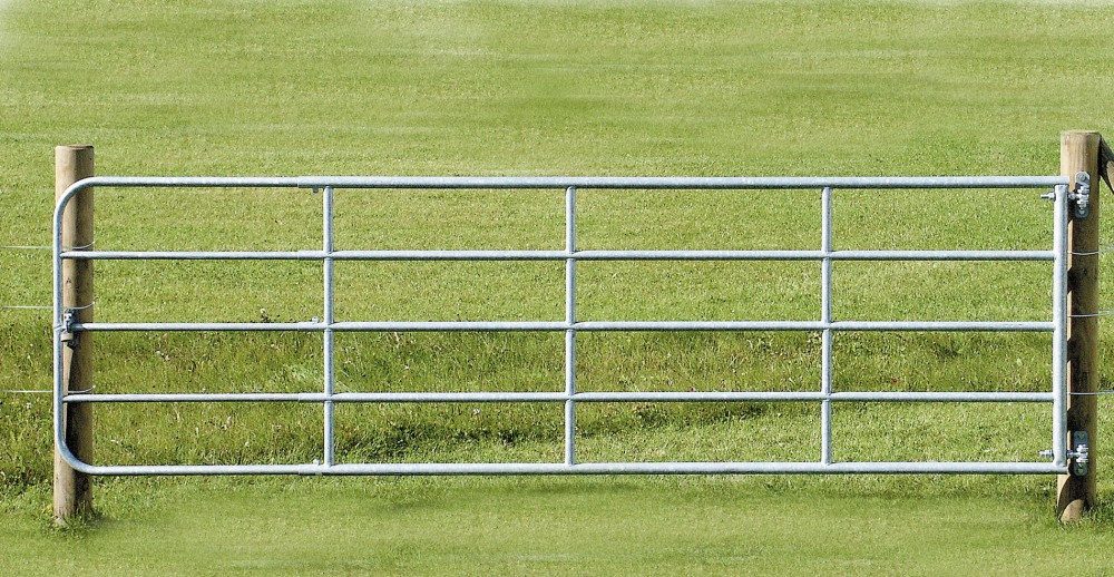 Weidenzaun
