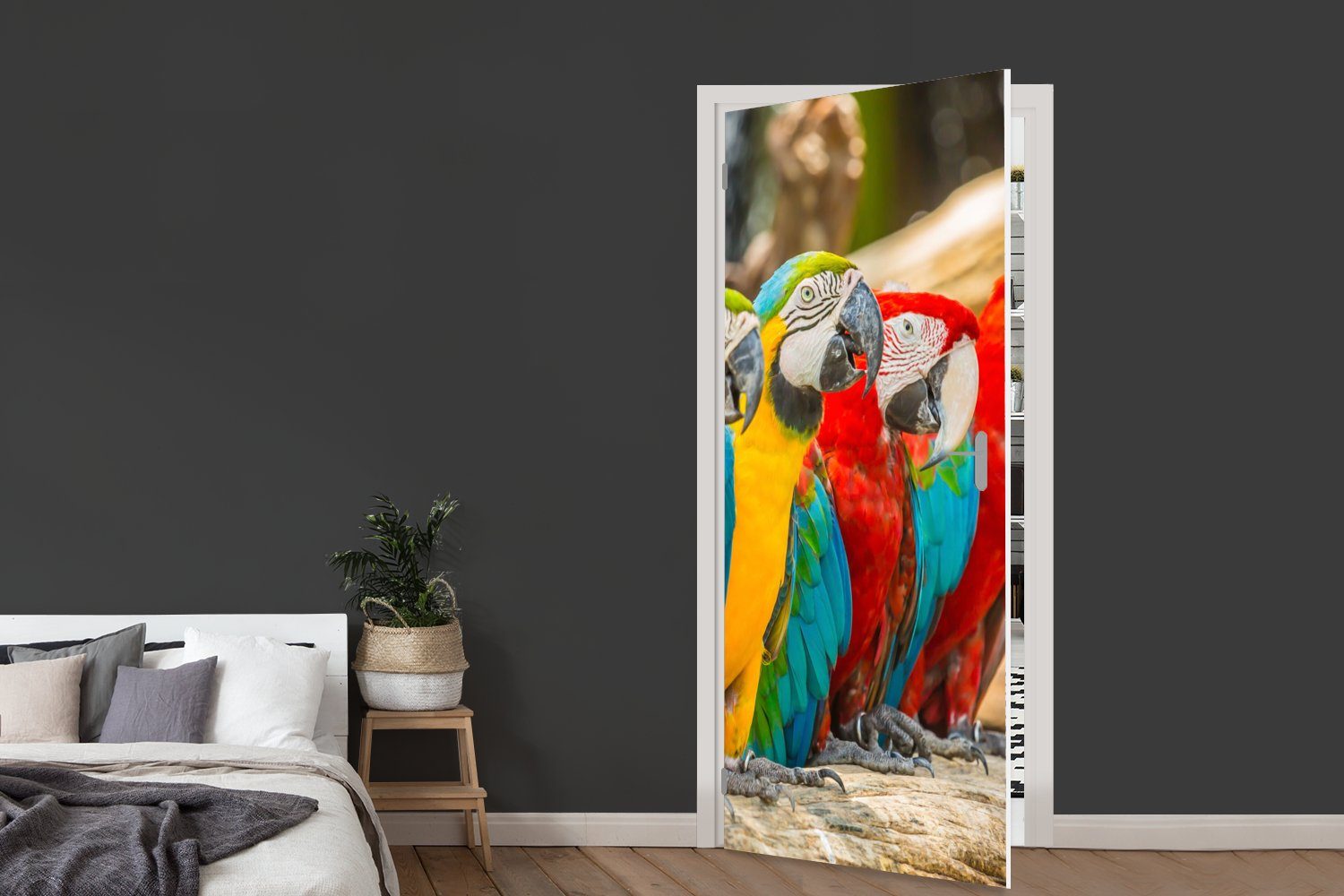 bedruckt, Natur, (1 Fototapete St), Türaufkleber, - Vögel Matt, - MuchoWow für Tropisch Papagei - Tür, Türtapete cm 75x205