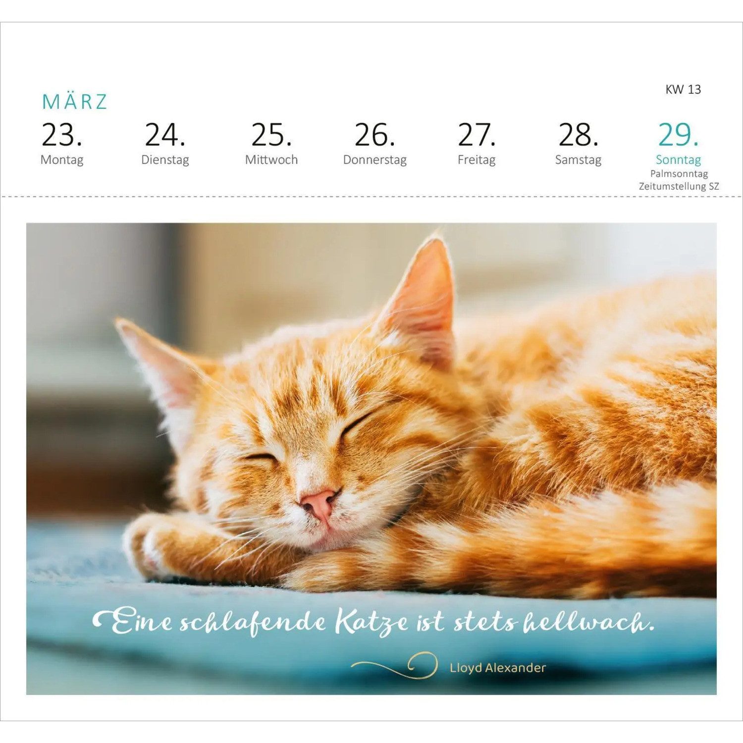 Ars Edition Tischkalender Postkartenkalender Katzenweisheiten 2026