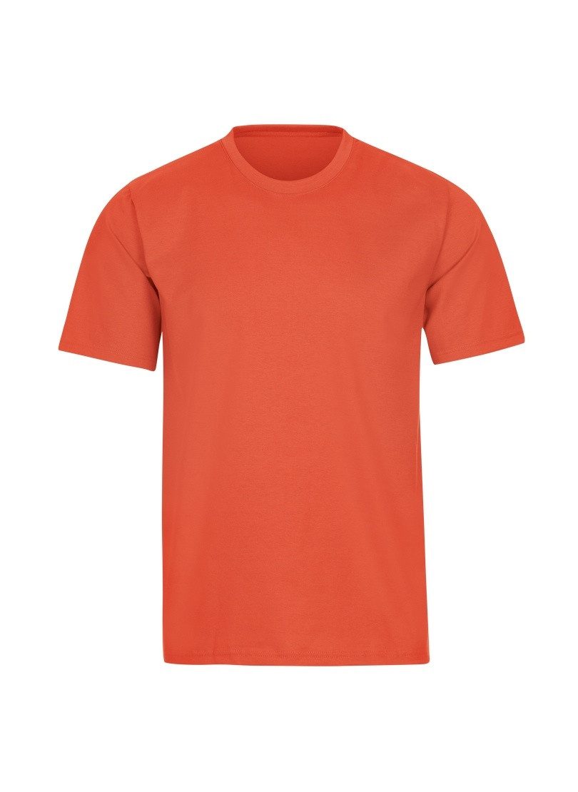Trigema T-Shirt TRIGEMA T-Shirt DELUXE Baumwolle günstig online kaufen