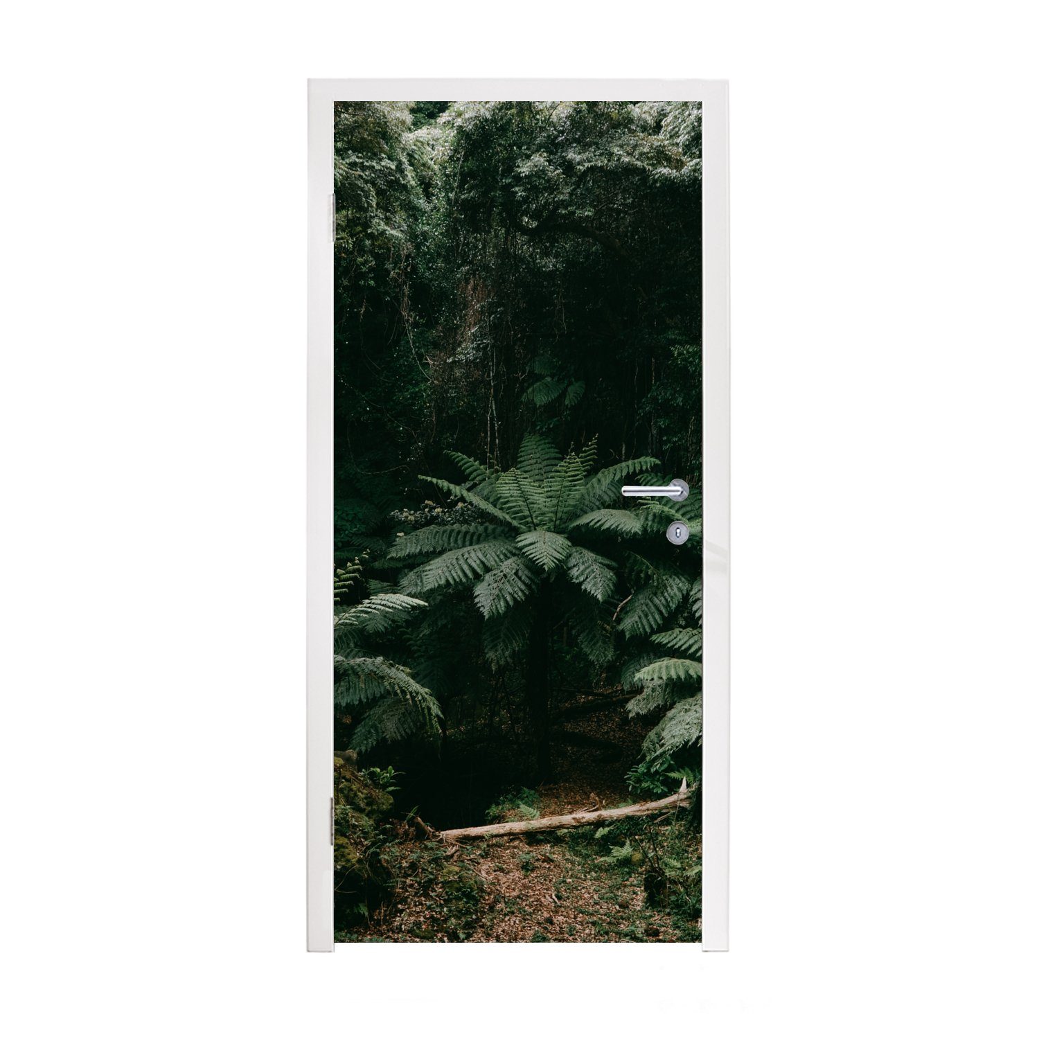 Türtapete Fototapete cm St), japanischen (1 bedruckt, MuchoWow Matt, Farne Tür, 75x205 Türaufkleber, für Regenwald, im