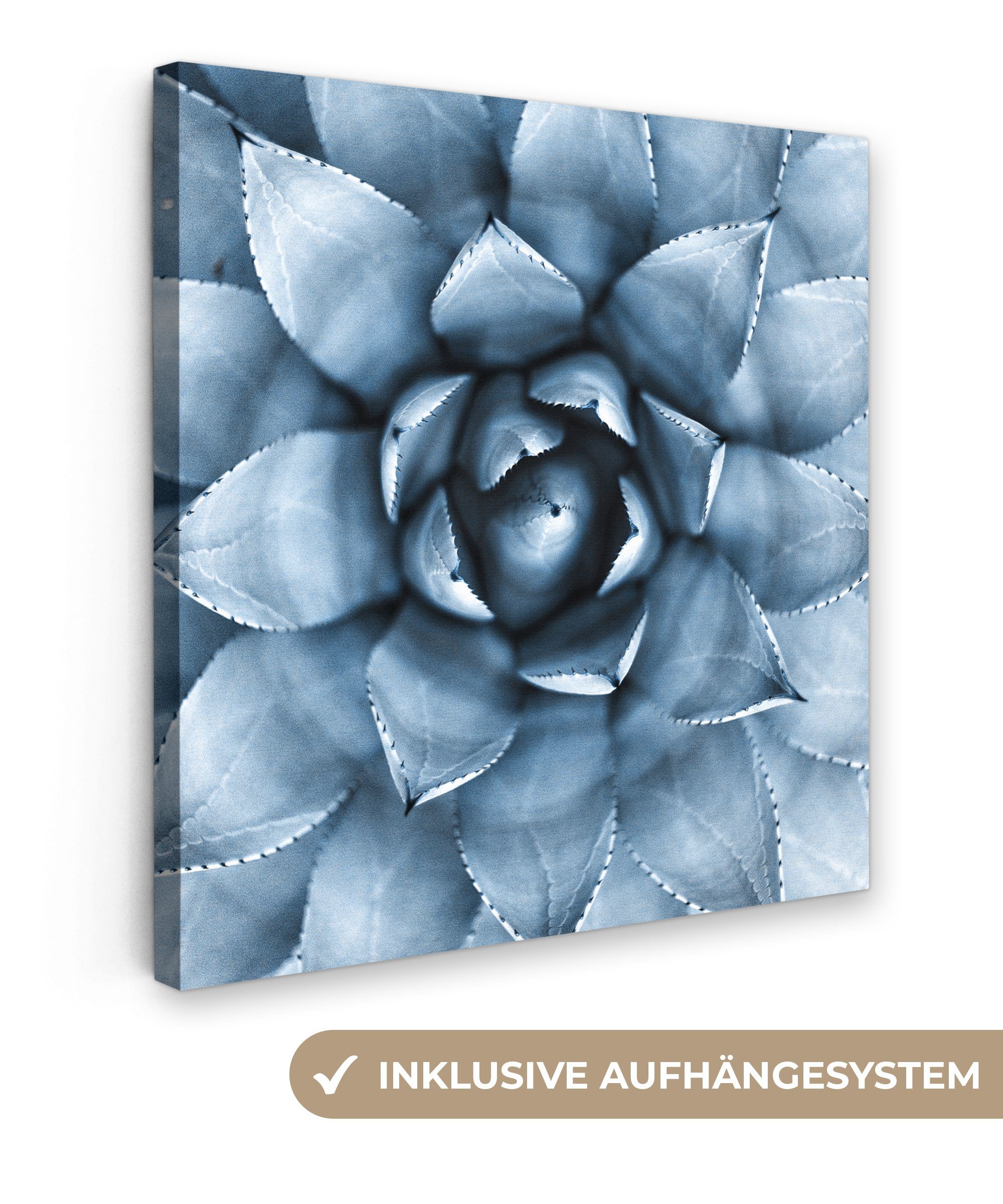 OneMillionCanvasses® Leinwandbild Pflanzen - Blau - Natur, (1 St), Leinwand Bilder für Wohnzimmer Schlafzimmer, 20x20 cm