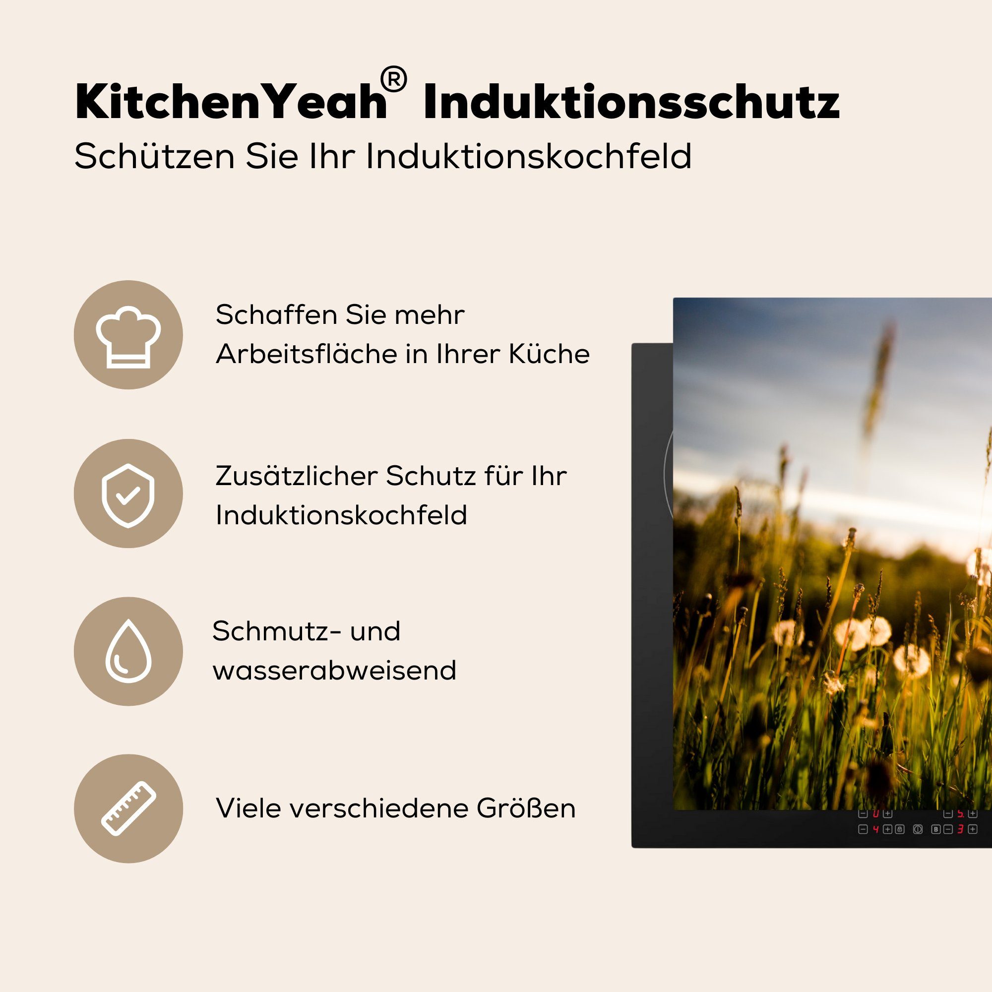 küche, 81x52 Schutz Ceranfeldabdeckung cm, Sonnenuntergang, (1 tlg), MuchoWow die - für - Vinyl, Herdblende-/Abdeckplatte Löwenzahn Induktionskochfeld Gras