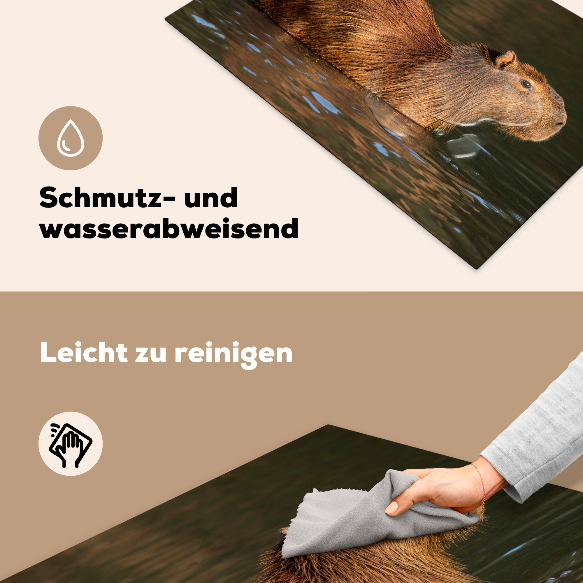 Wasser, 81x52 Vinyl, die cm, im (1 Induktionskochfeld tlg), Ceranfeldabdeckung für küche, steht Ein MuchoWow Capybara Herdblende-/Abdeckplatte Schutz